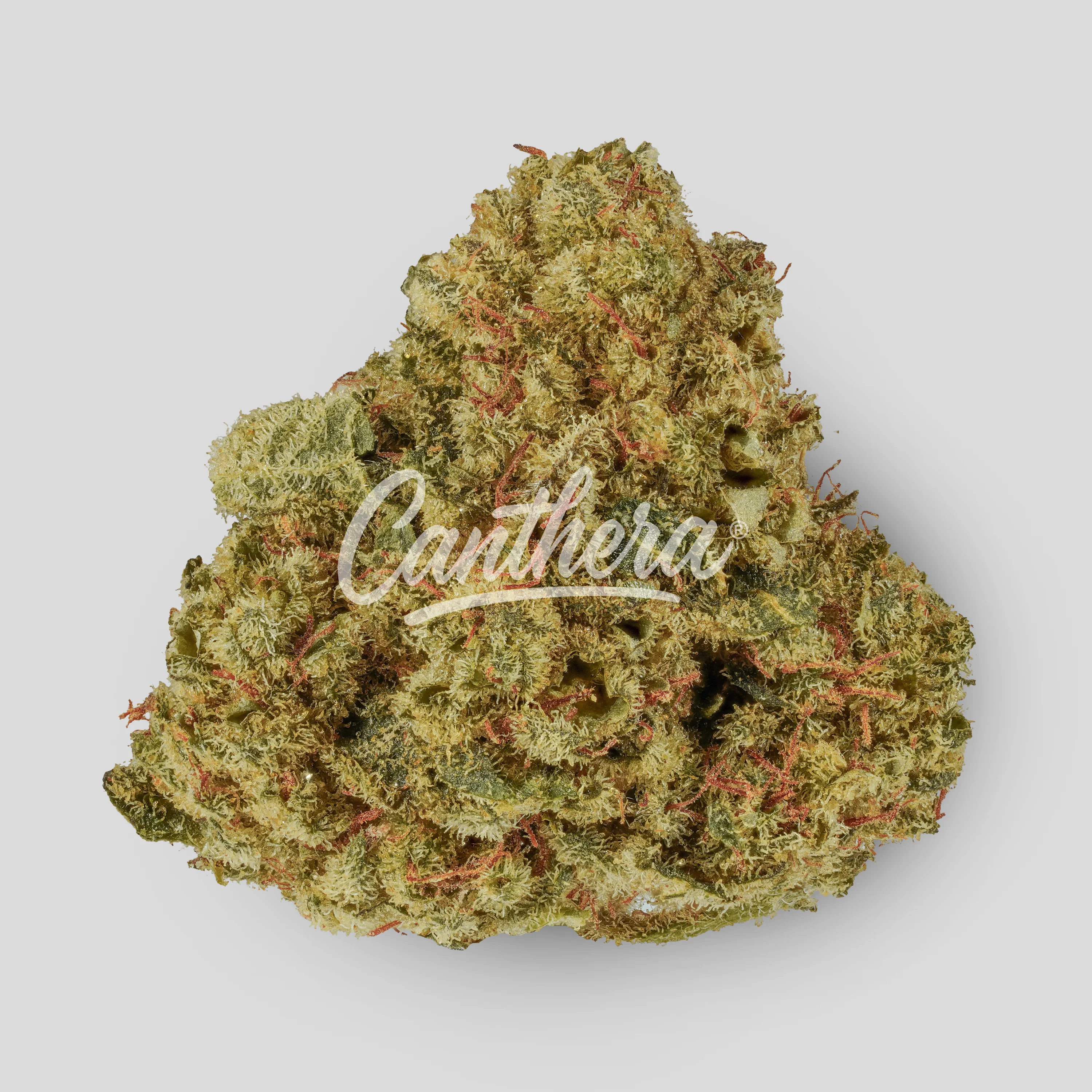 420 Natural 25/1 CA GG4 - Gorilla Glue 420 Natural 25/1 CA GG4 - Gorilla Glue
