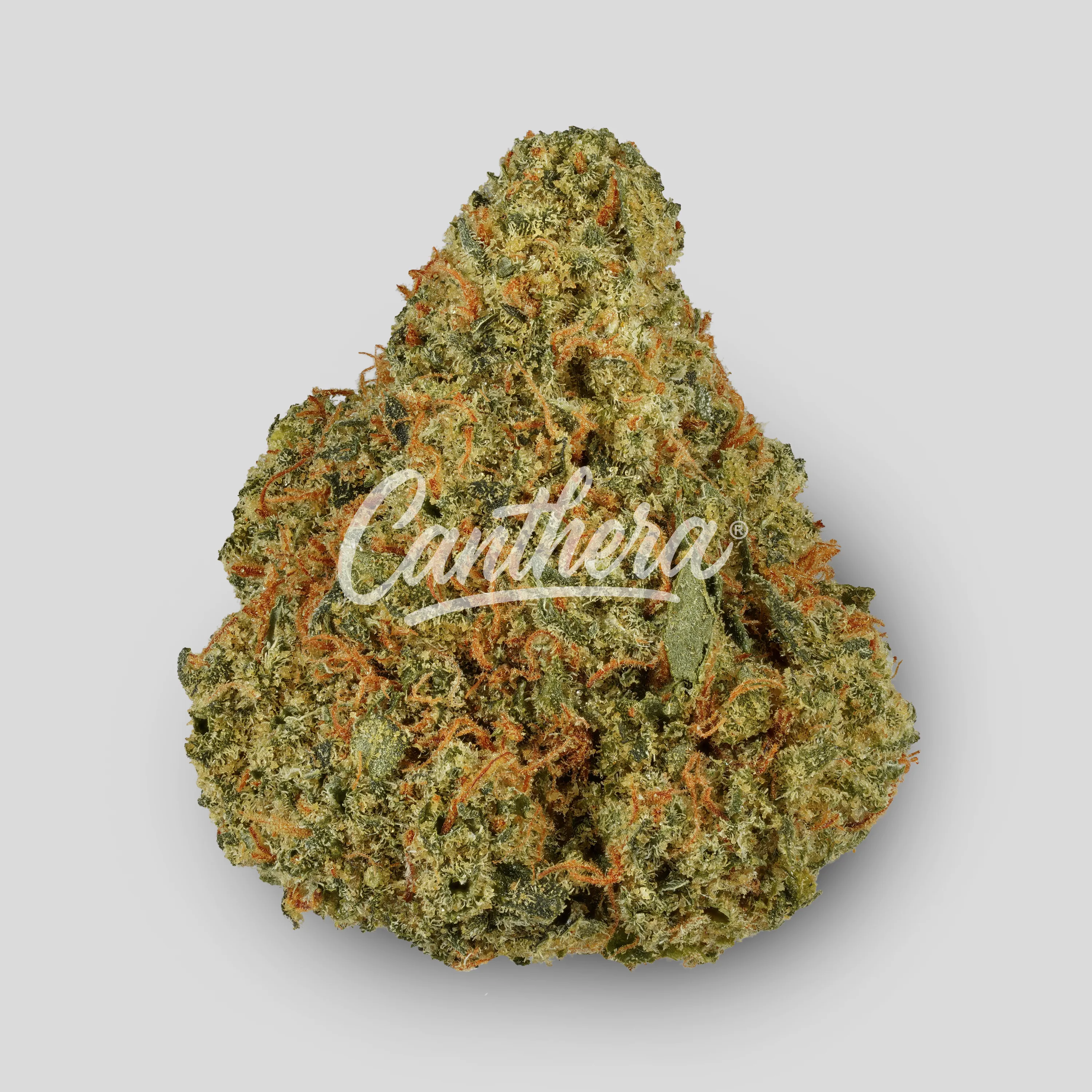Demecan Core PKU 26:01 - Poison Kush