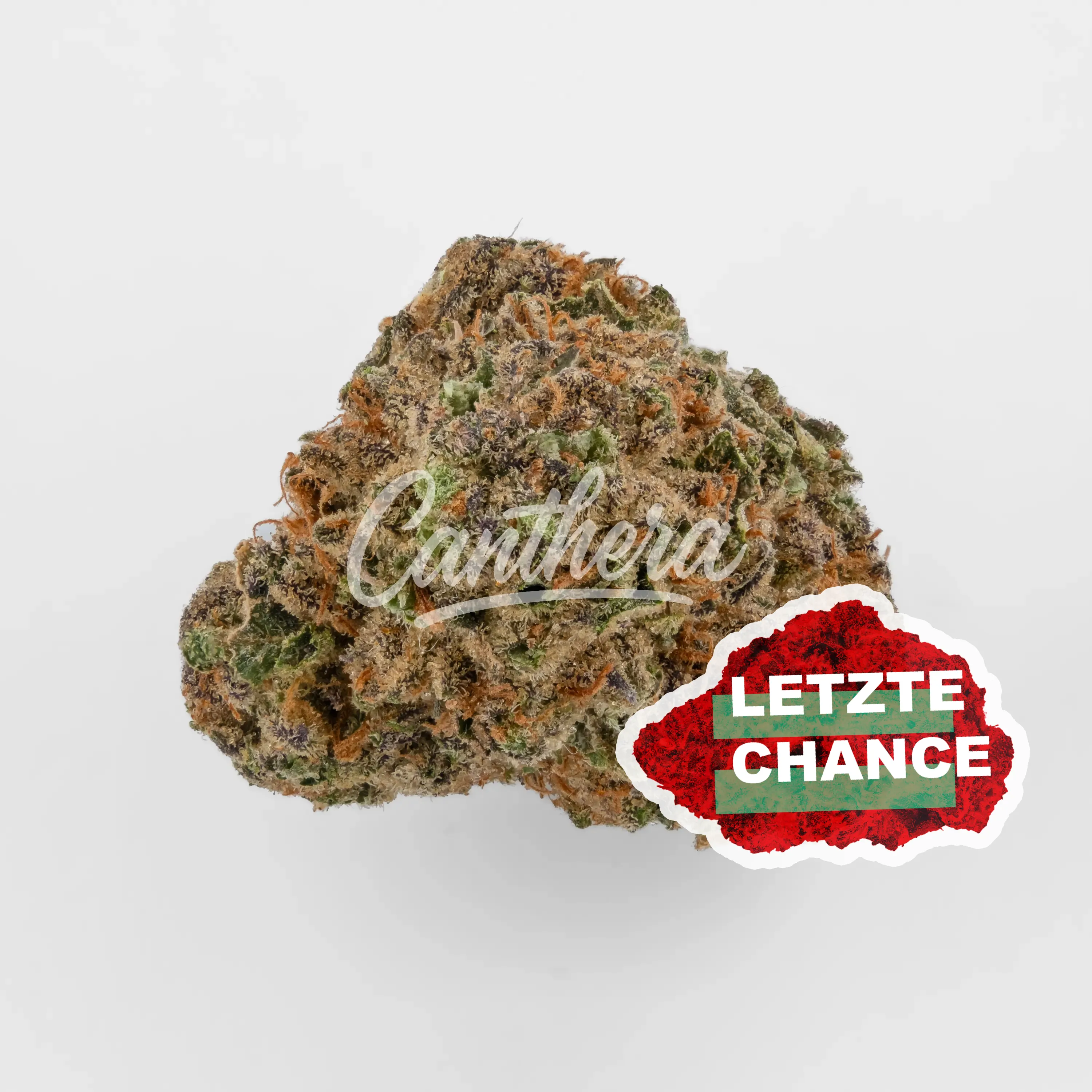 Cannamedical Indica forte MA - Crazy Runtz Cannamedical Indica forte MA - Crazy Runtz