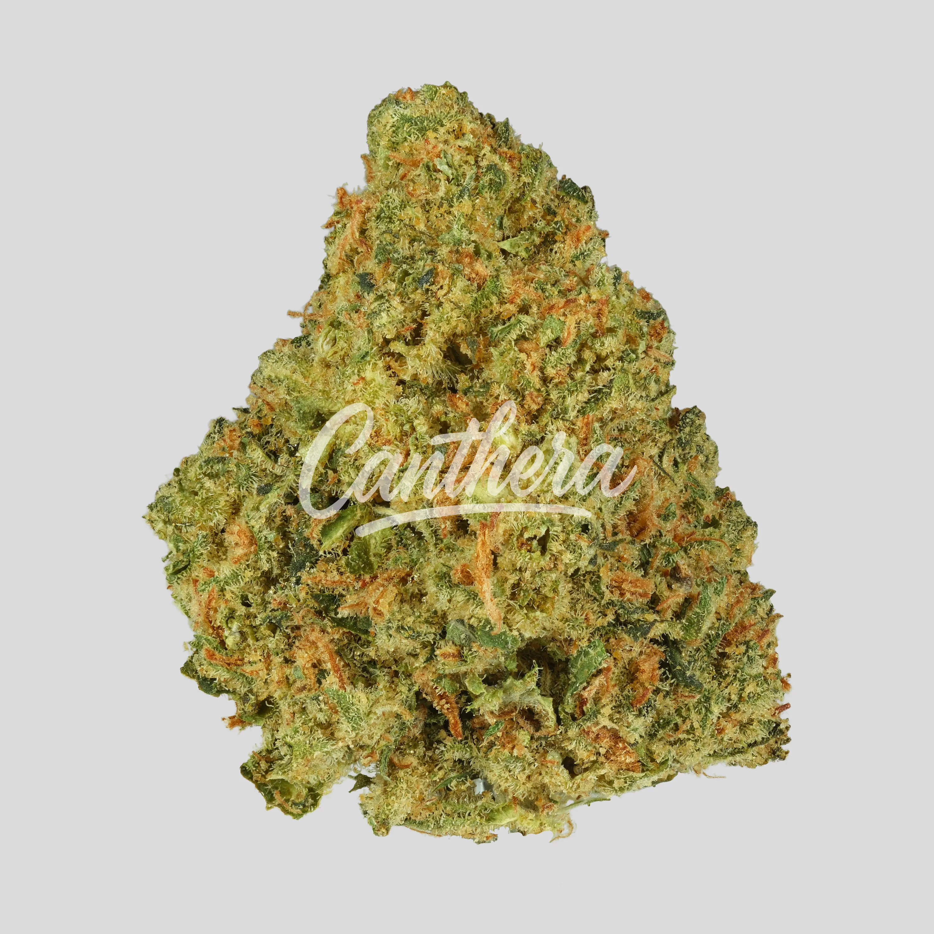 Demecan Core Sunshine Pure 25:01 - Tropicanna Cookies Demecan Core Sunshine Pure 25:01 - Tropicanna Cookies