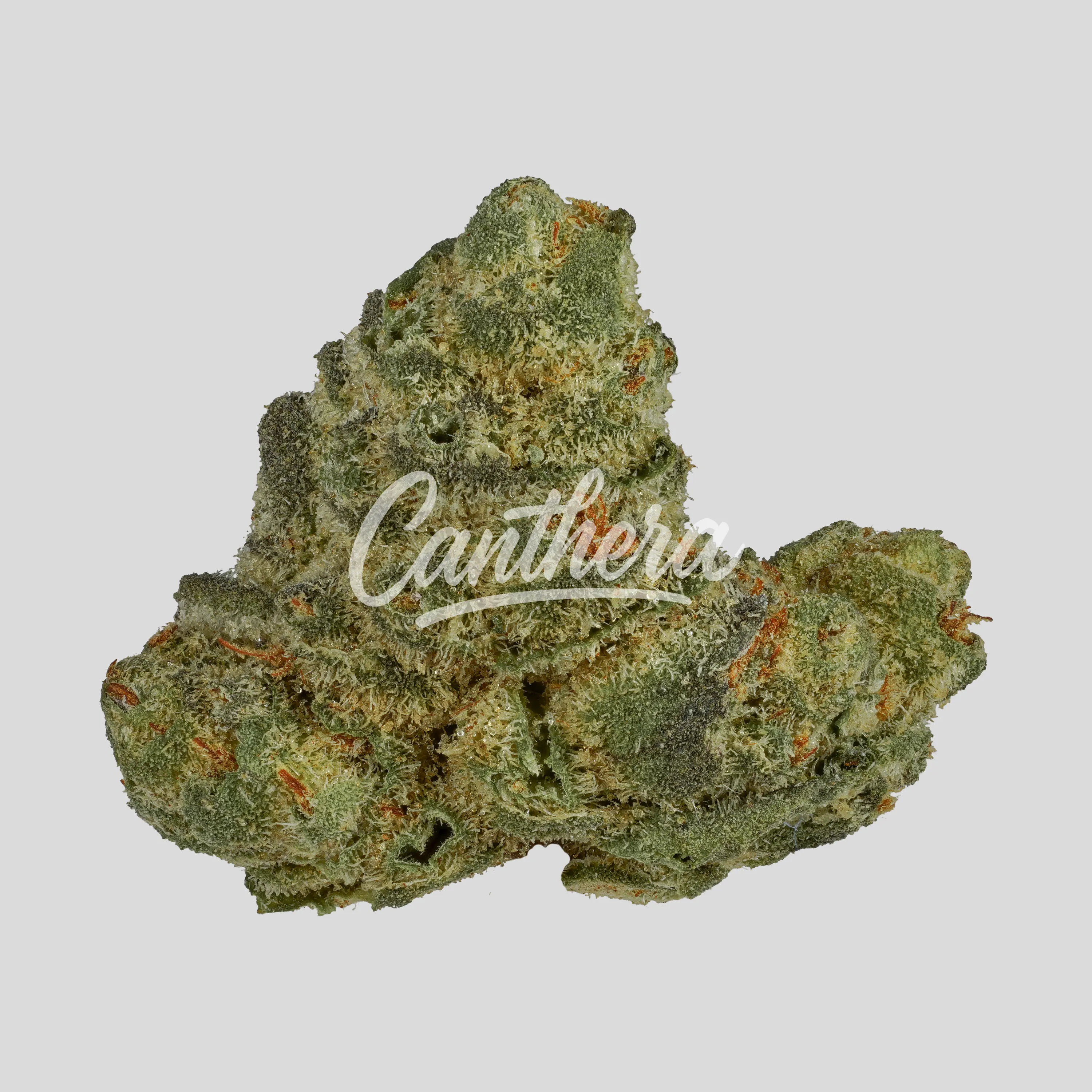 Demecan BB Light Drop - Lemonade x Runtz