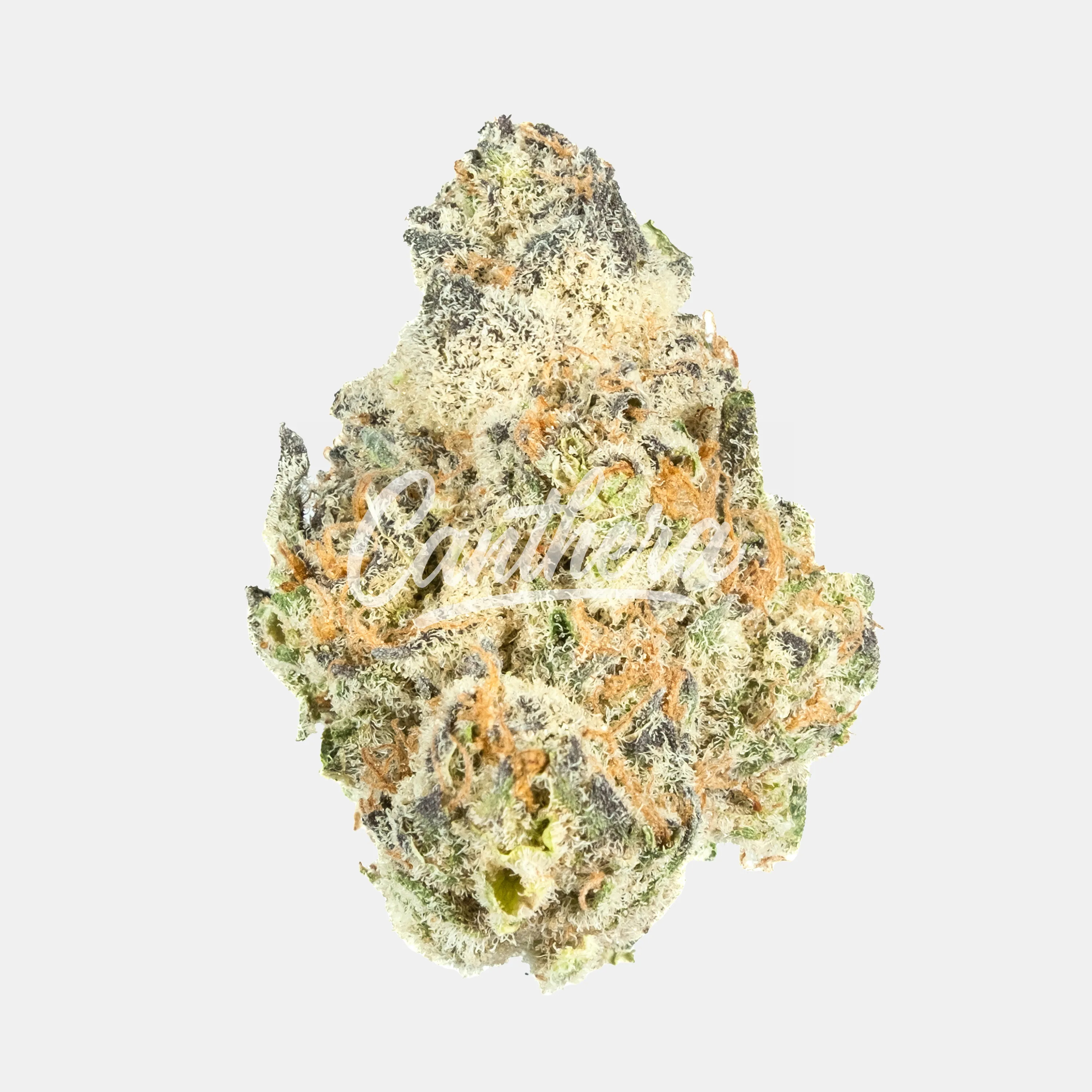 420 Evolution 25/1 CA UNC - Unicorn Cake