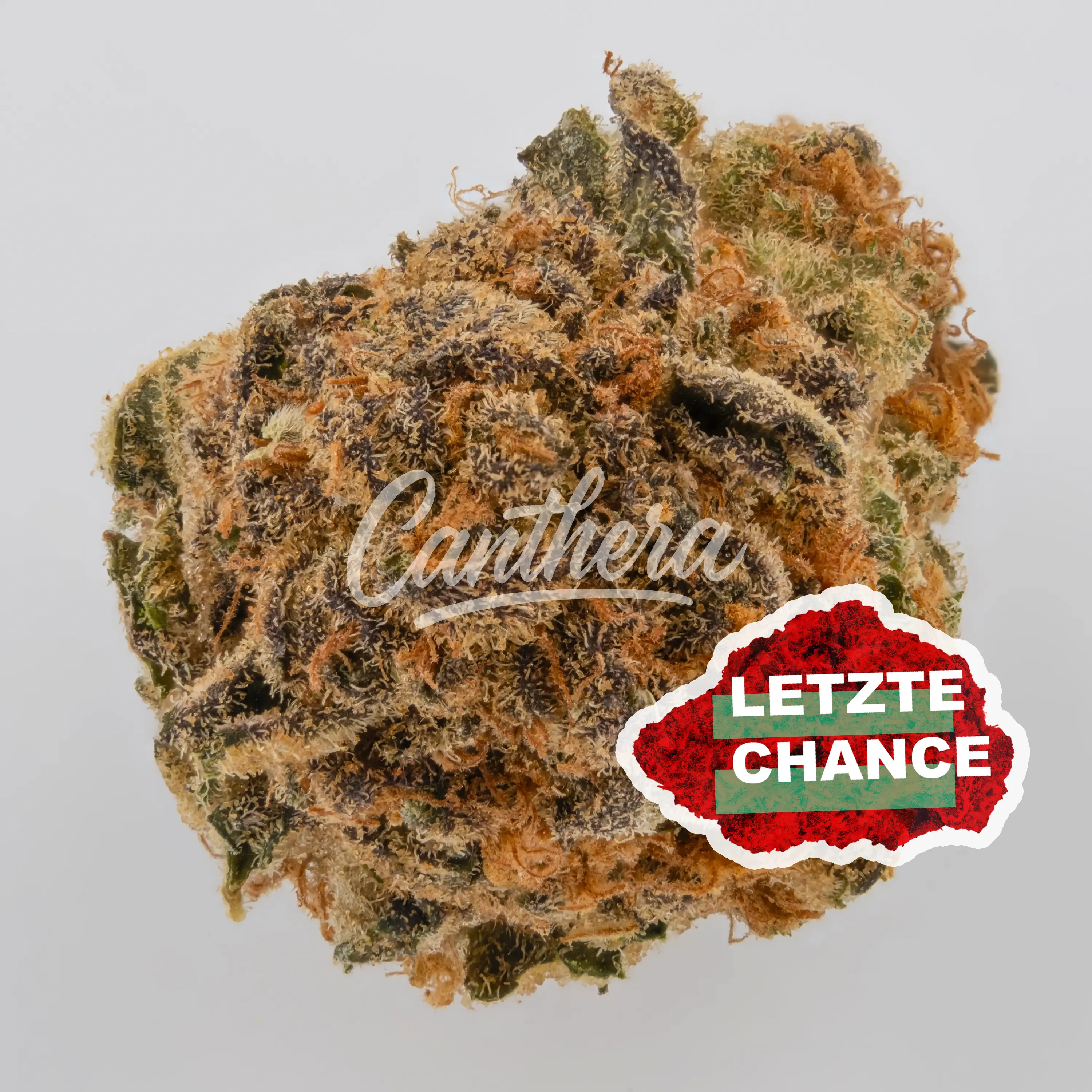 Cannamedical Sativa classic Lemon Slushie