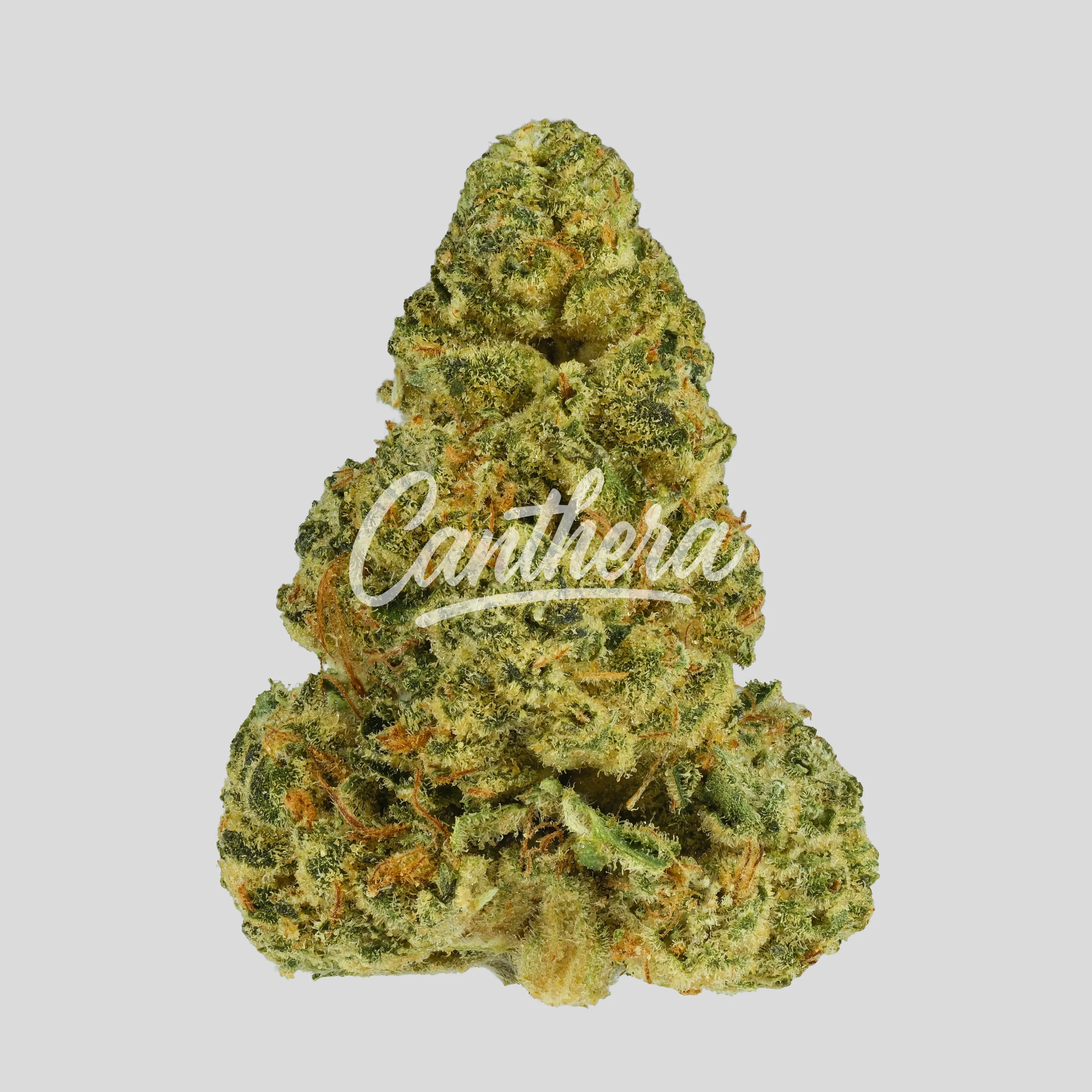 TRUU GT 30:01 - Cookies OG TRUU GT 30:01 - Cookies OG