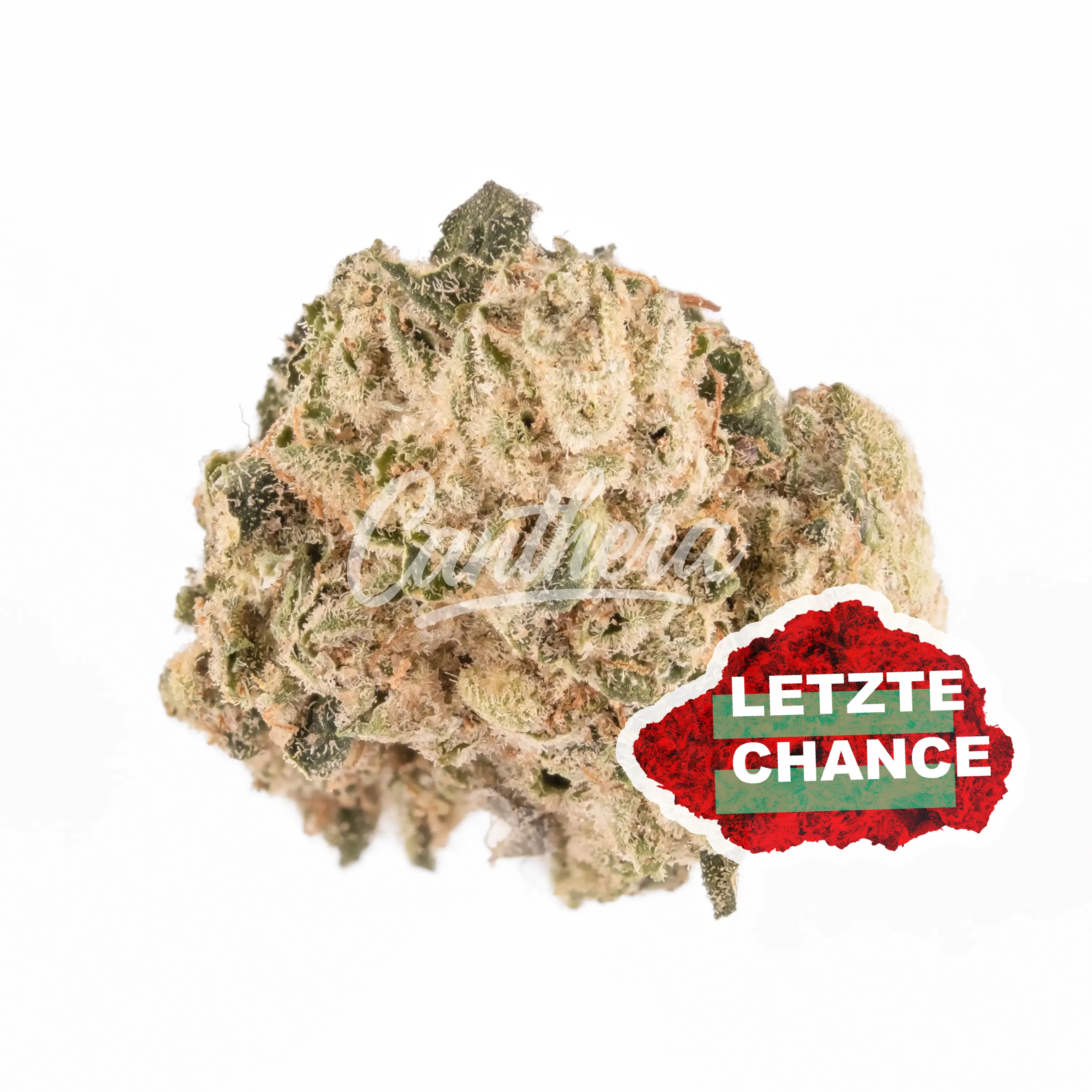 enua 30/1 STP CA - Strawberry Pavé