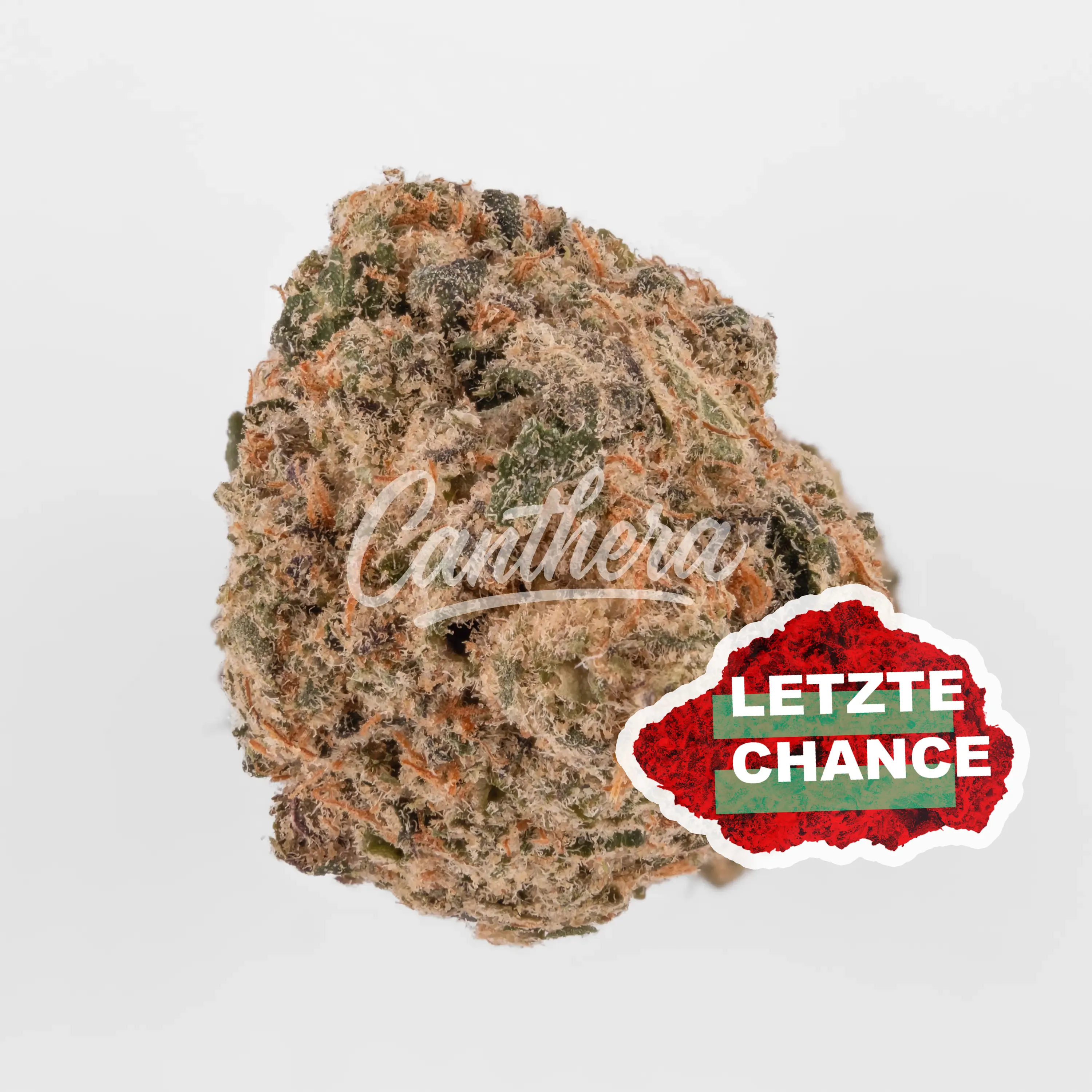 avaay Signature 25/1 HYP - Hyperion