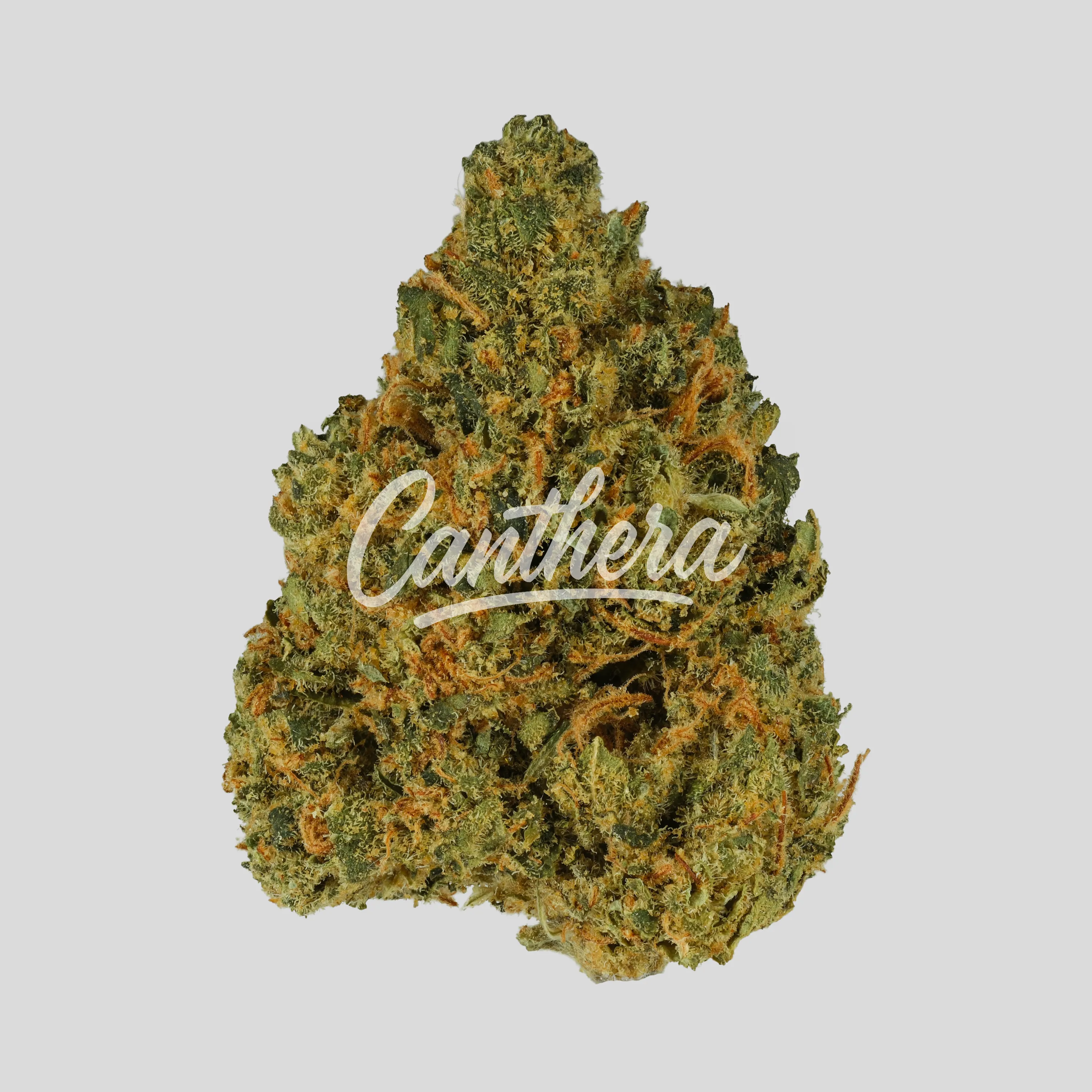 Demecan PS Lean Drop 20/1 - Tropaya Punch Demecan PS Lean Drop 20/1 - Tropaya Punch