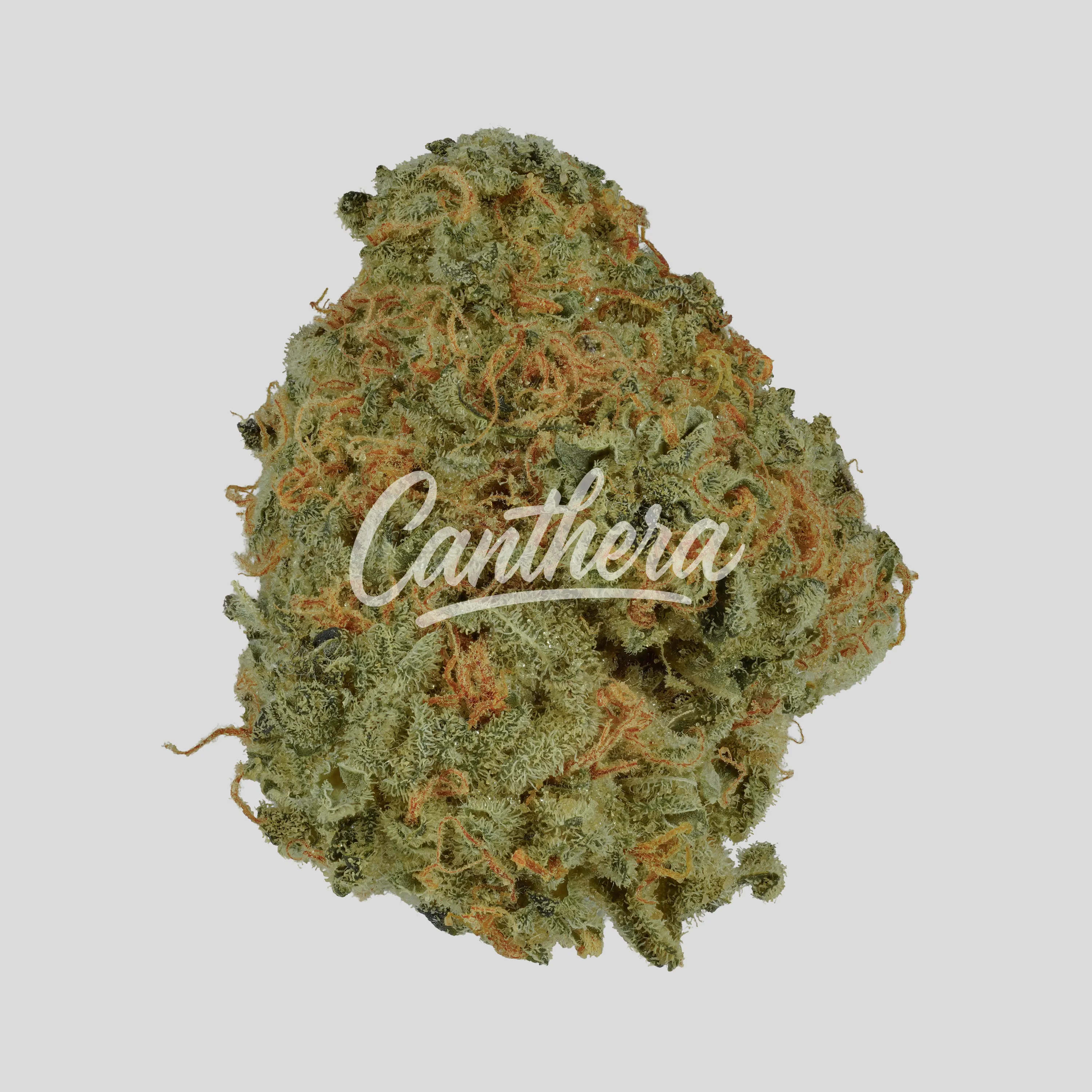 Cookies 2.0 31/1 - Heavy Eyes