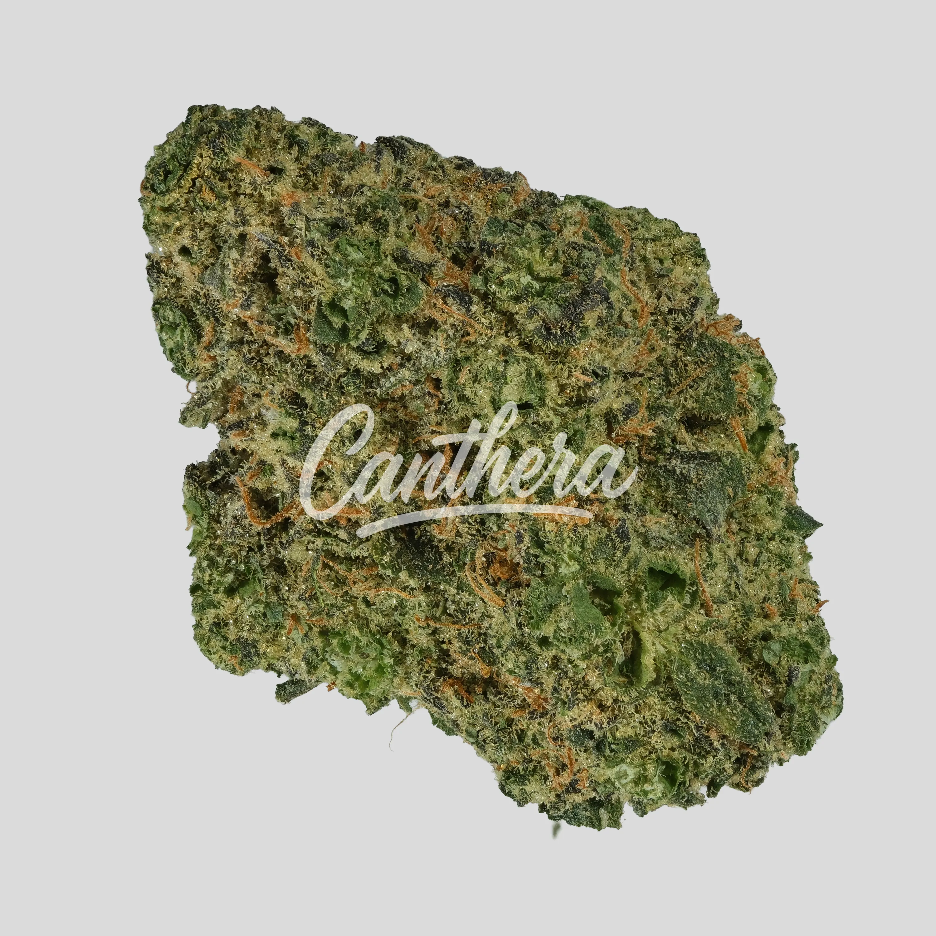 enua 36/1 JGF - Jungle Fumes