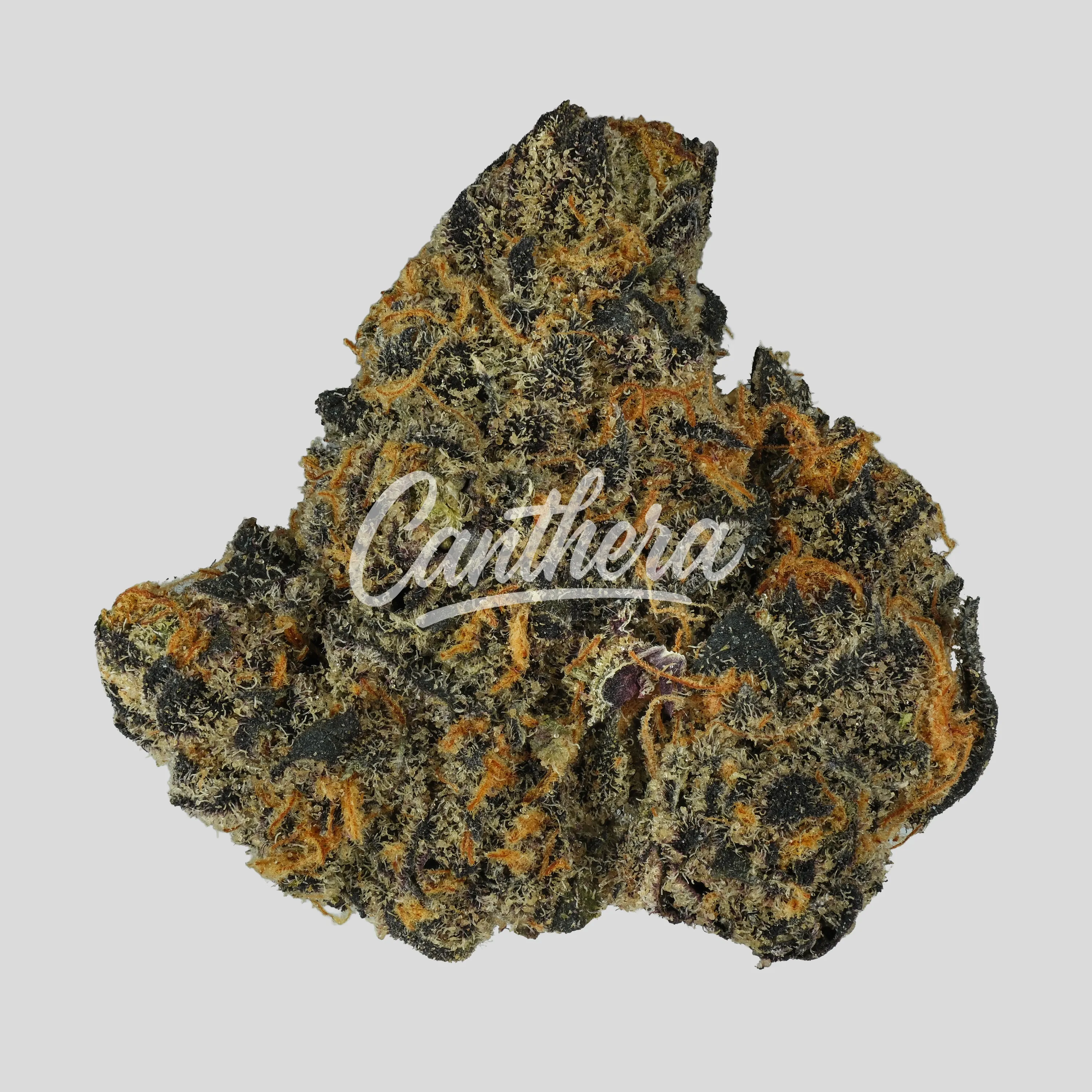 Bathera 28/1 CM - Cereal Milk