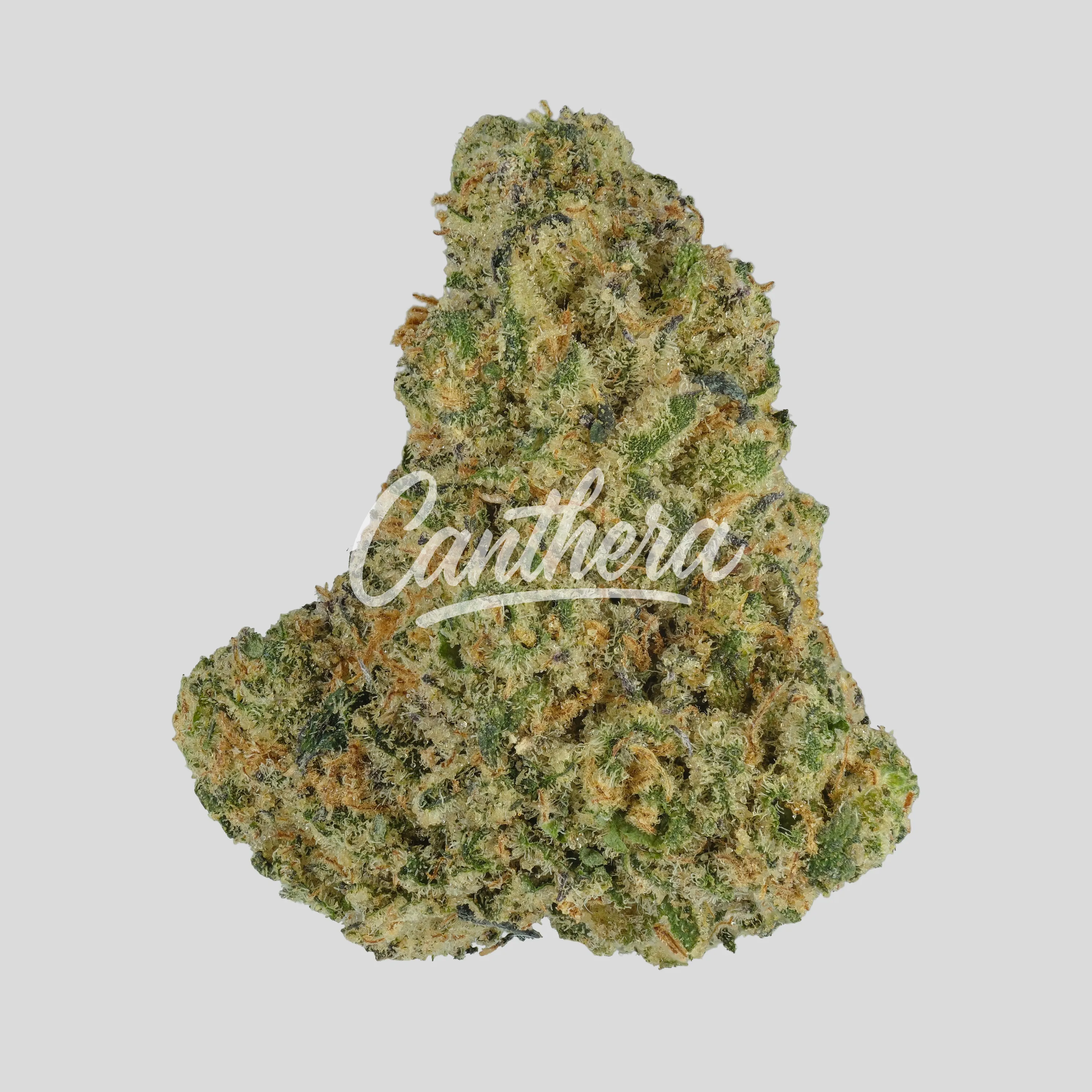 420 Evolution 33/1 CA FLM - Frozen Lemon Mint 420 Evolution 33/1 CA FLM - Frozen Lemon Mint