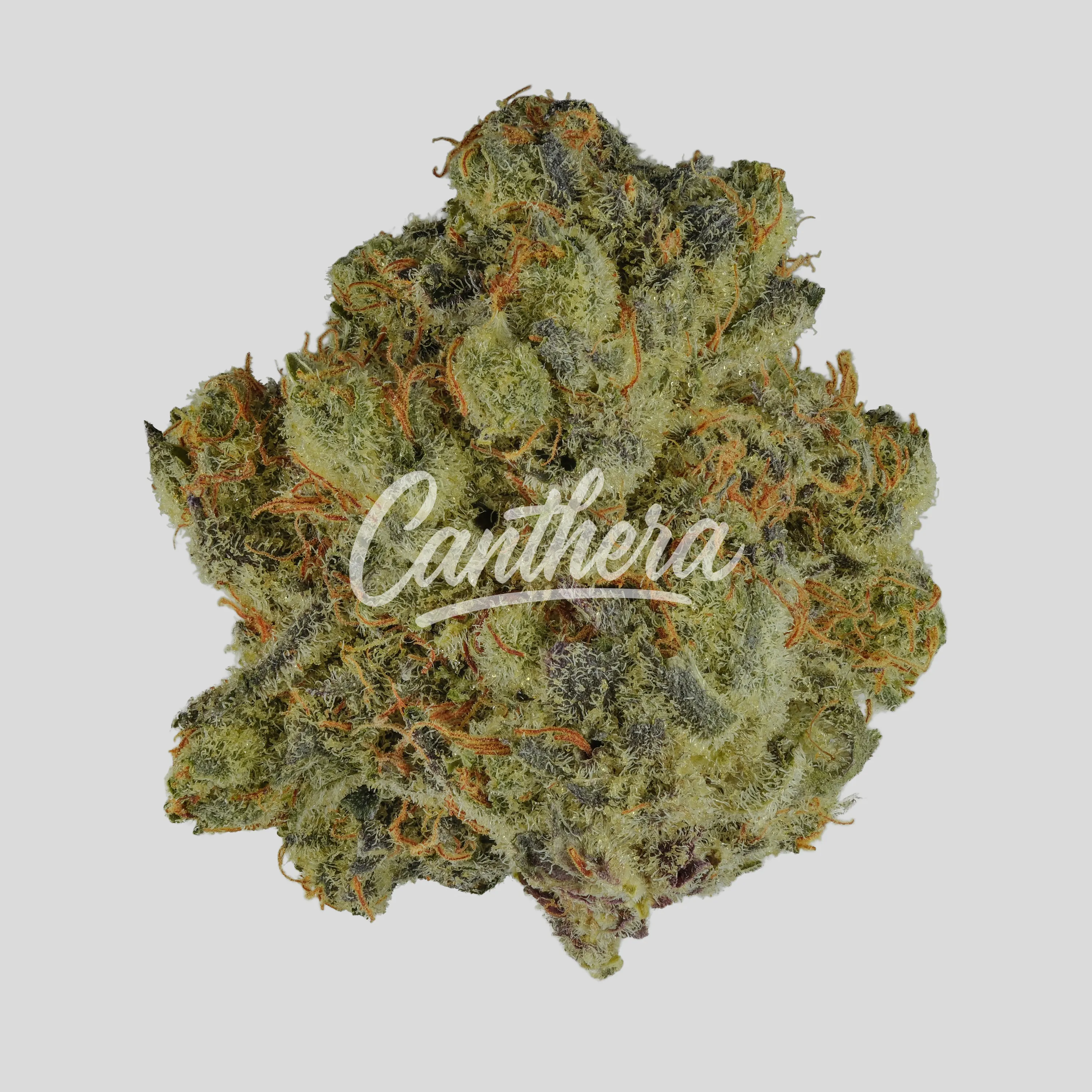 MC Strong Drop - Lava Cake