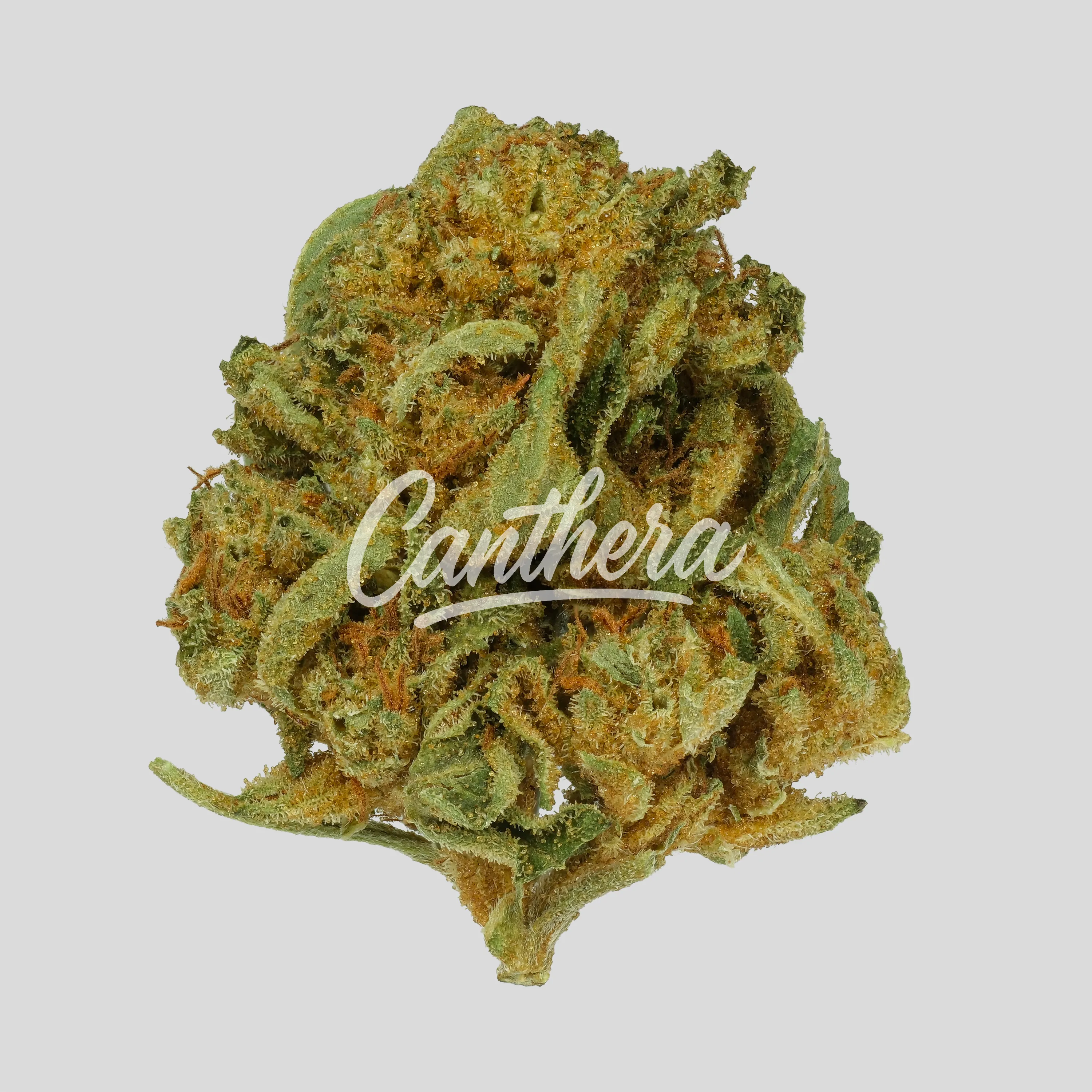 Remexian 27/1 CAL PTS - Phantom Shape Remexian 27/1 CAL PTS - Phantom Shape