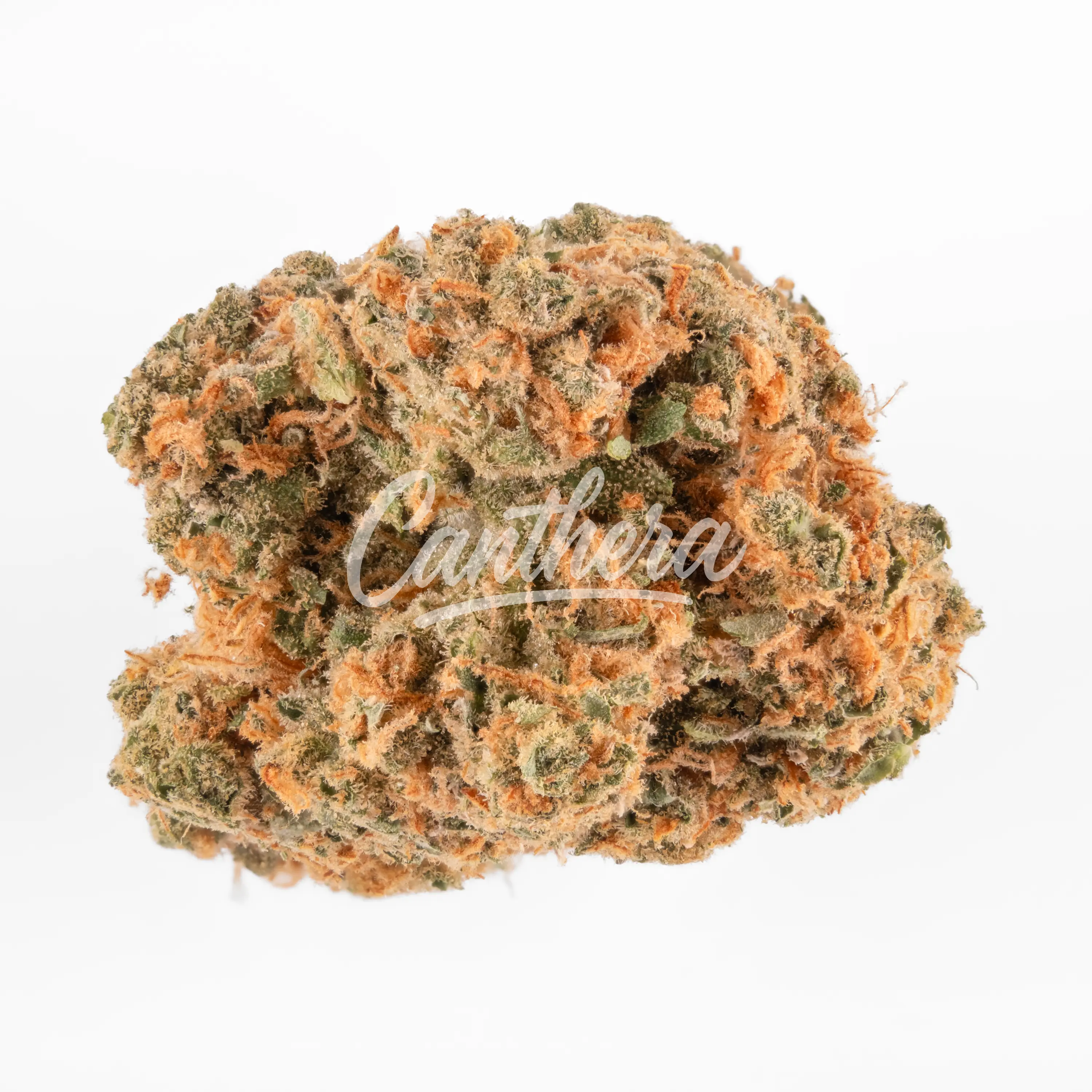 Demecan MC Light Drop 20:01 Acapulco Gold Demecan MC Light Drop 20:01 Acapulco Gold