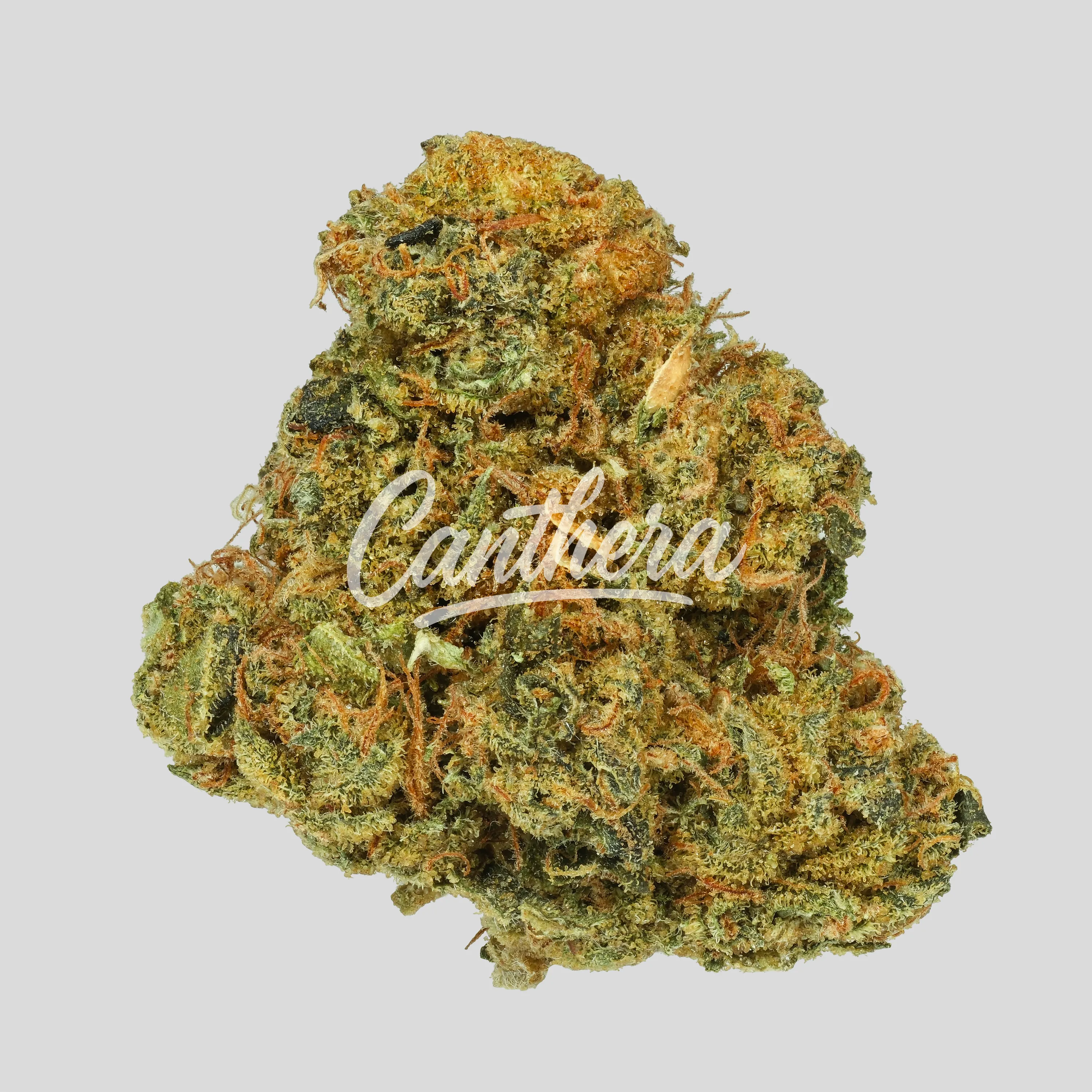 Weeco HK 20/1 - Hindu Kush