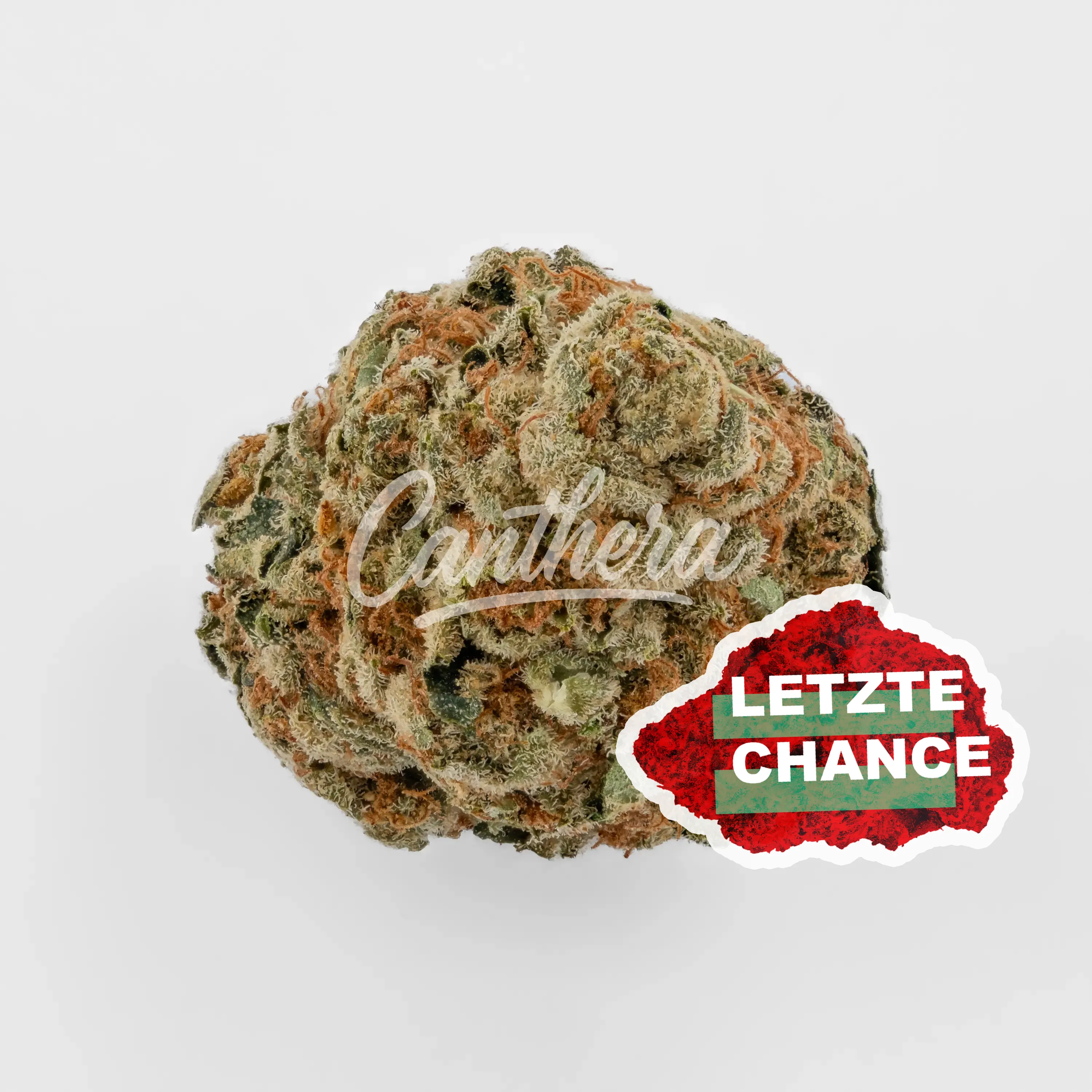 Cannamedical Sativa classic Au Tangie Chem