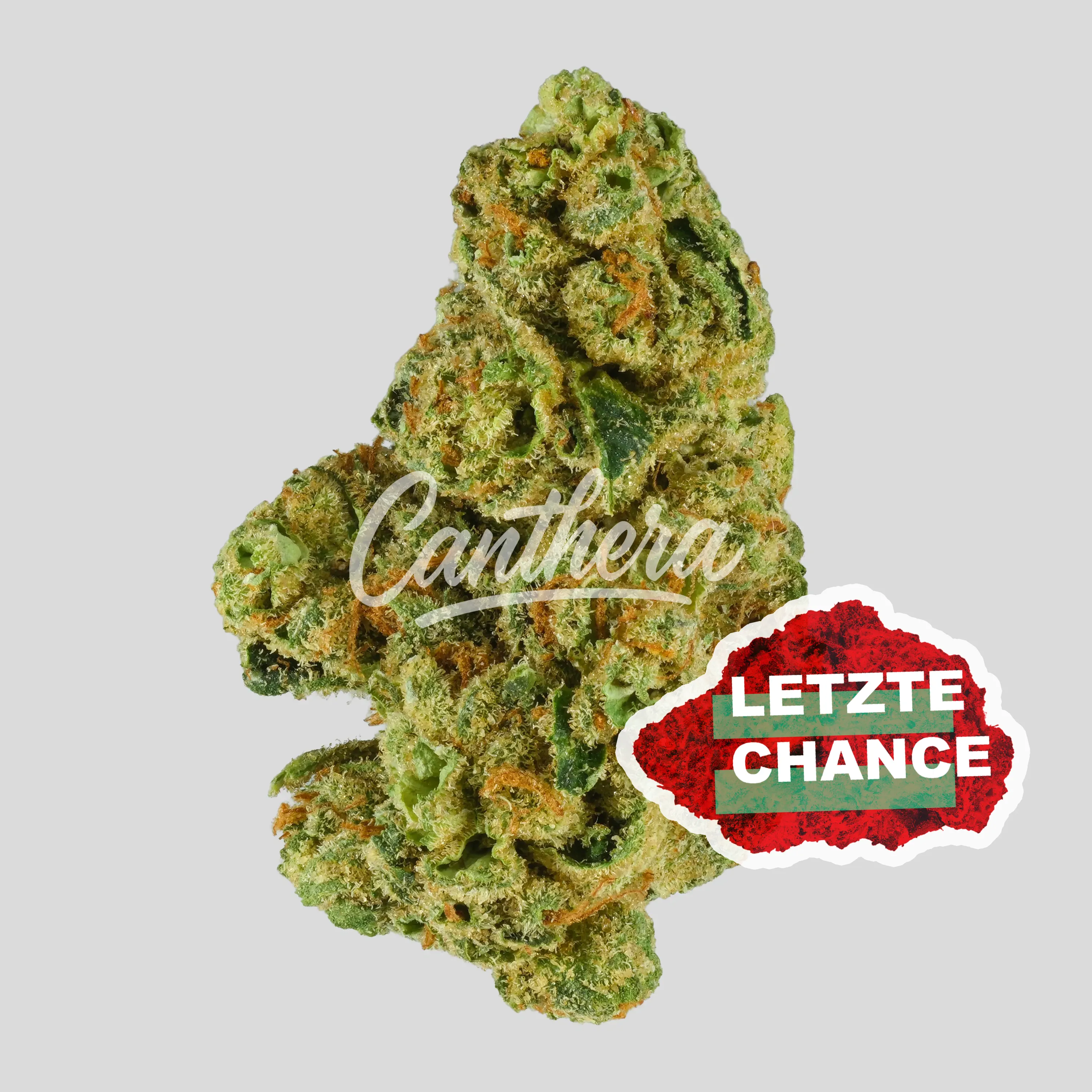 Daily Special 21/1 LEM - Lemonatti