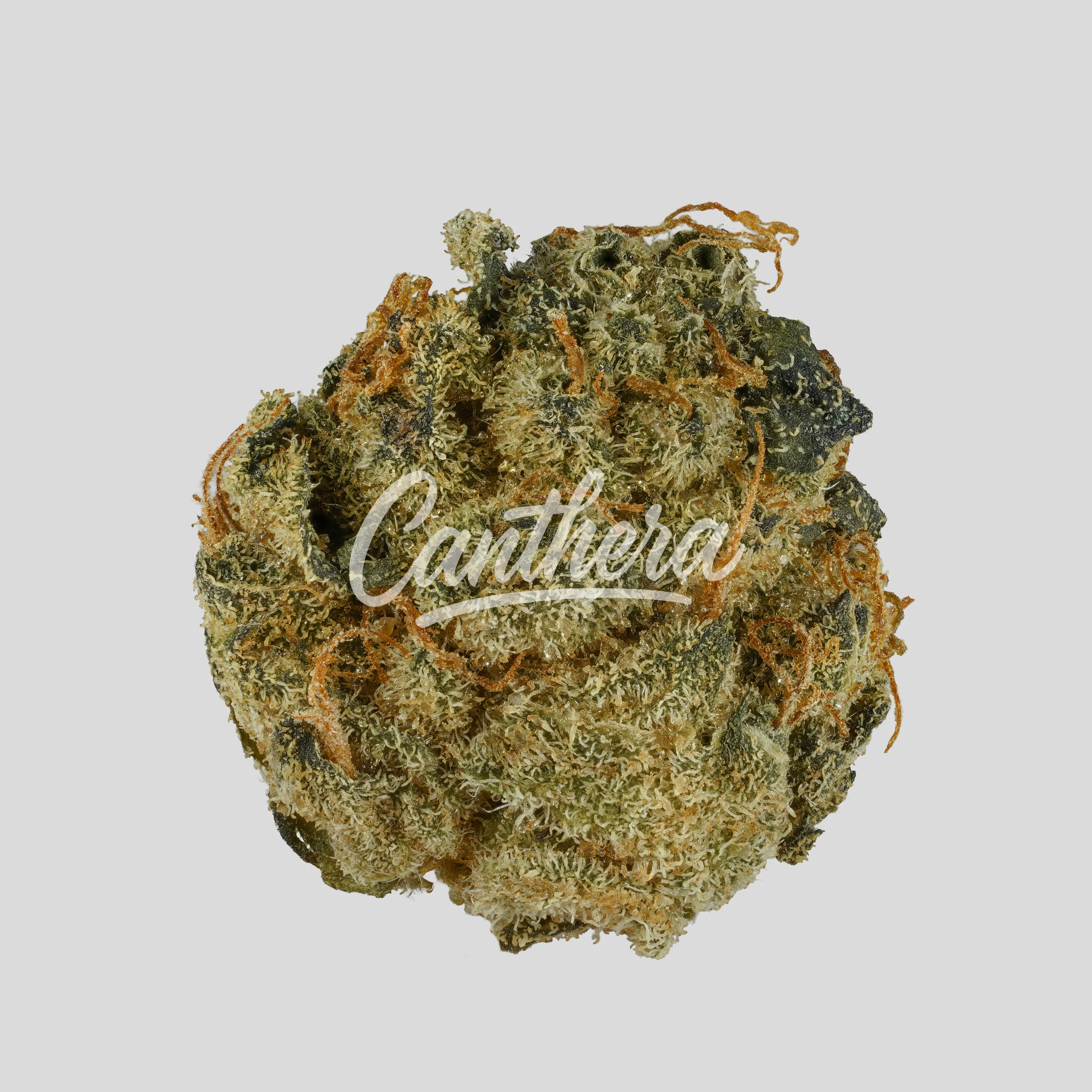 AphriaRX THC25 OKB OG Kush Breath
