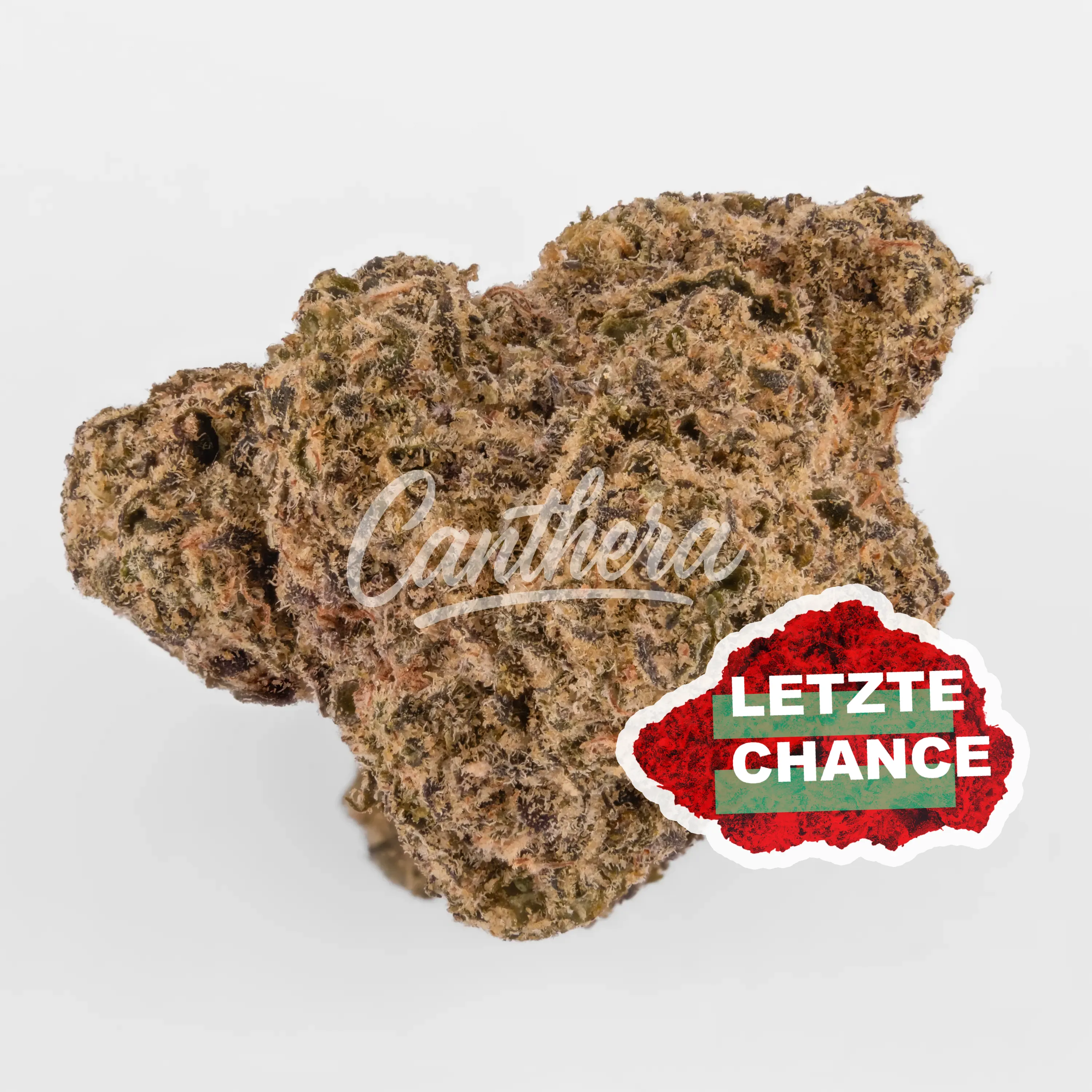 CM Craft No.1 30/1 - Scratch n Sniff