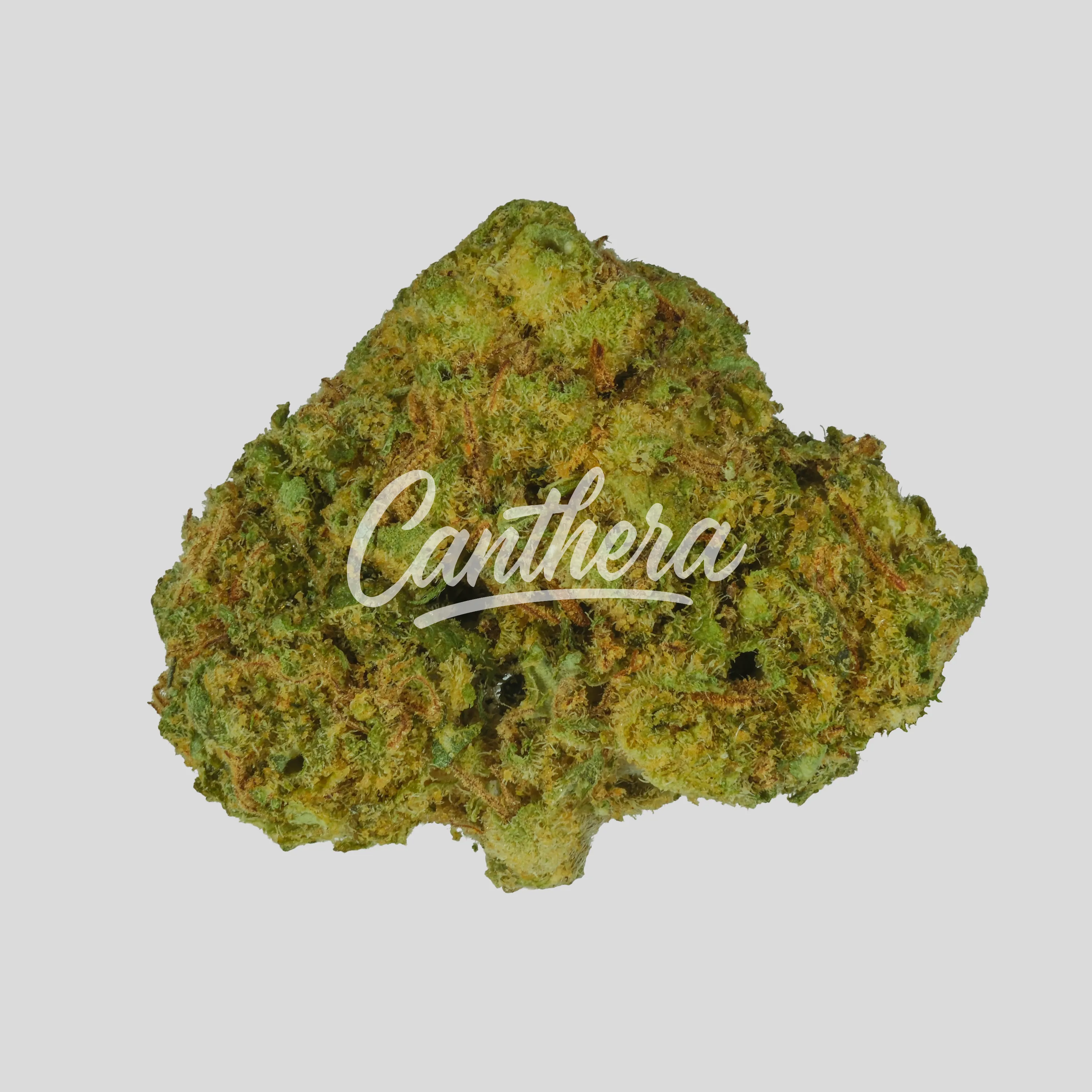 NOC AS 23 Chill - Amnesia Kush x Sherbet Sockher