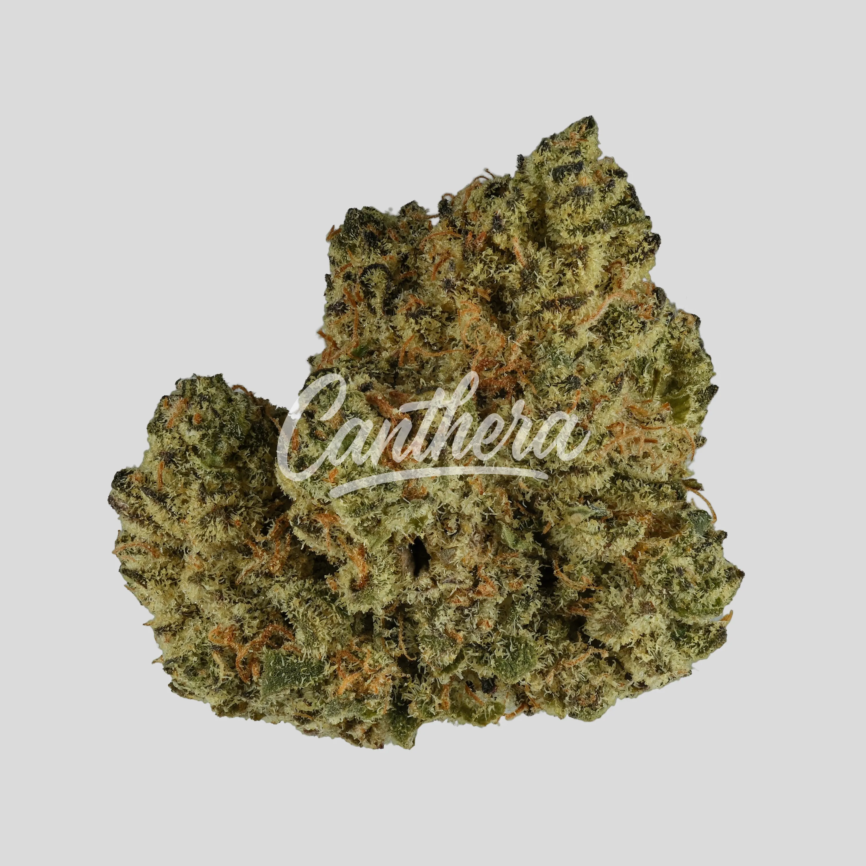 Cannamedical Hybrid Forte SA - Blunicorn Cannamedical Hybrid Forte SA - Blunicorn