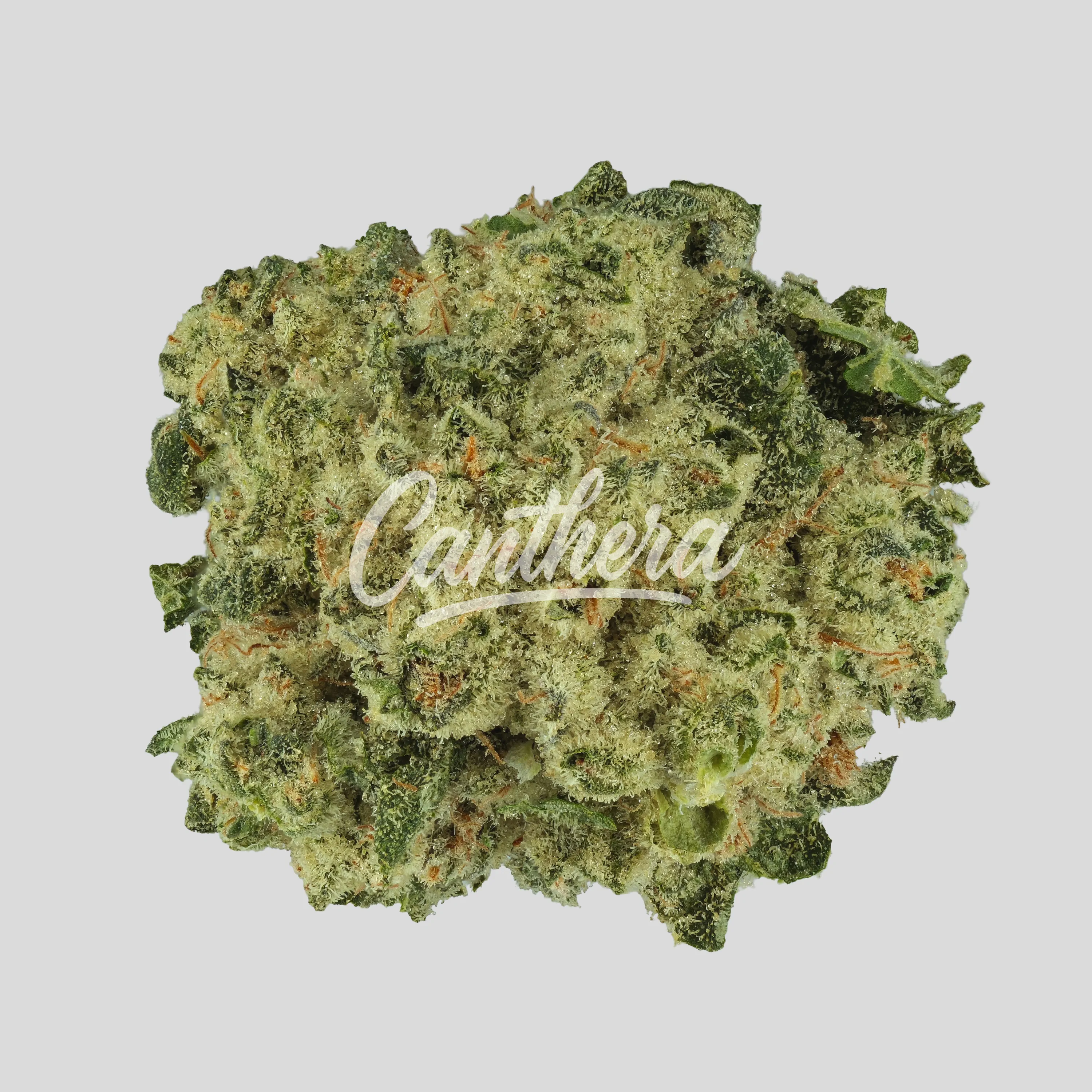 Demecan PS Strong Drop 27/1 - Animal Cookies x SinMints Cookies