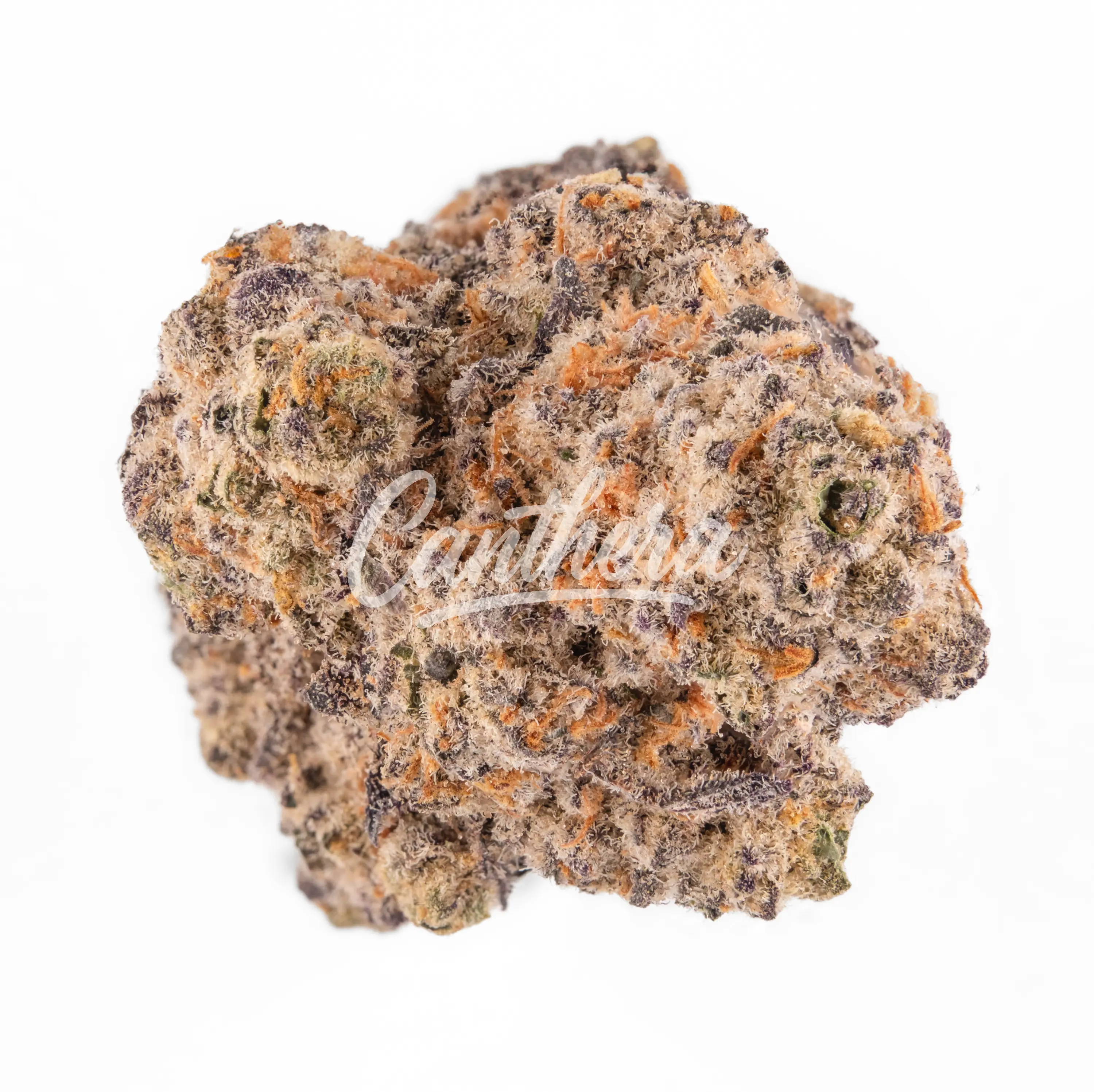 Enua 22/1 MAC F CA - MAC Flurry