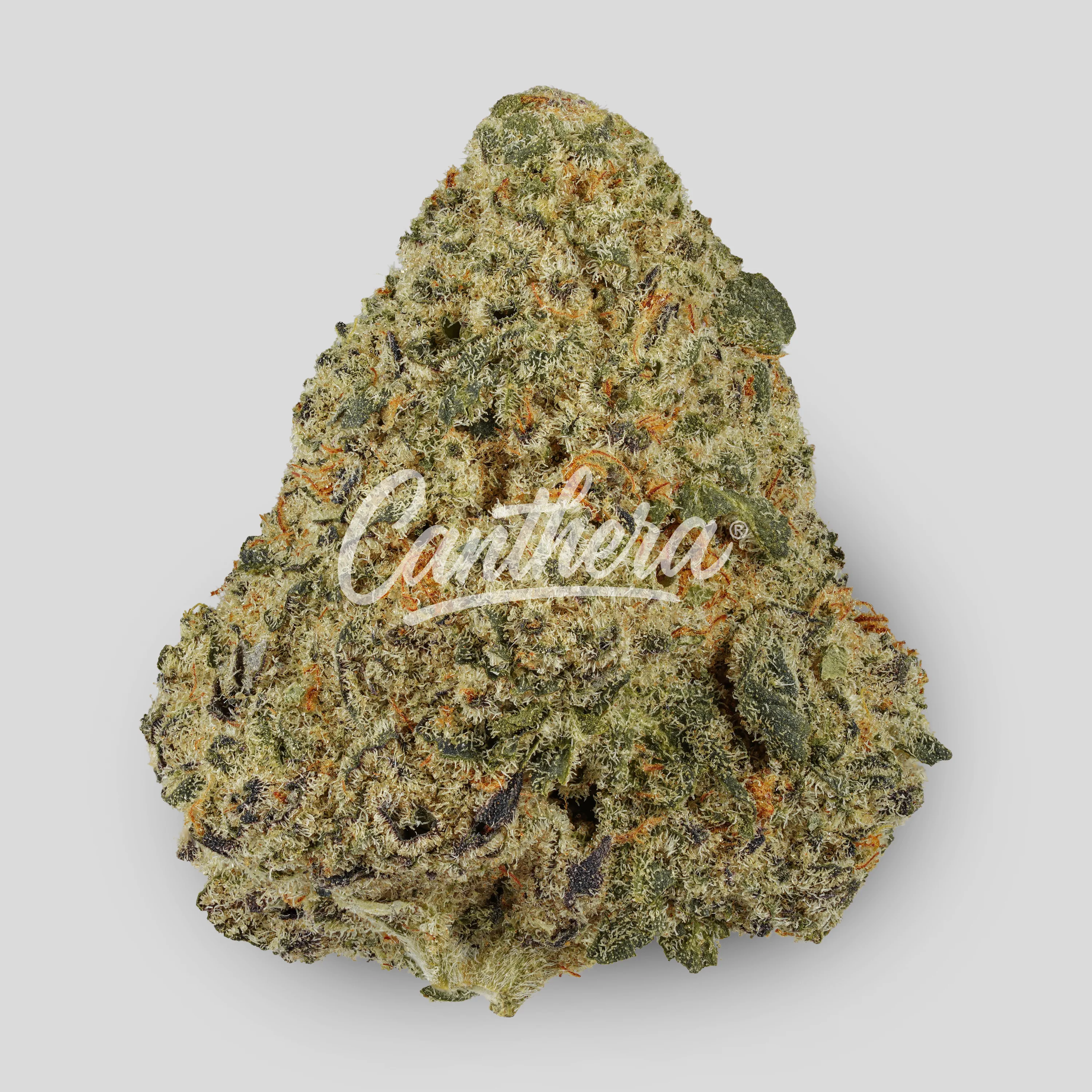 Demecan Core CRC 30:01 - Cream Cake Demecan Core CRC 30:01 - Cream Cake