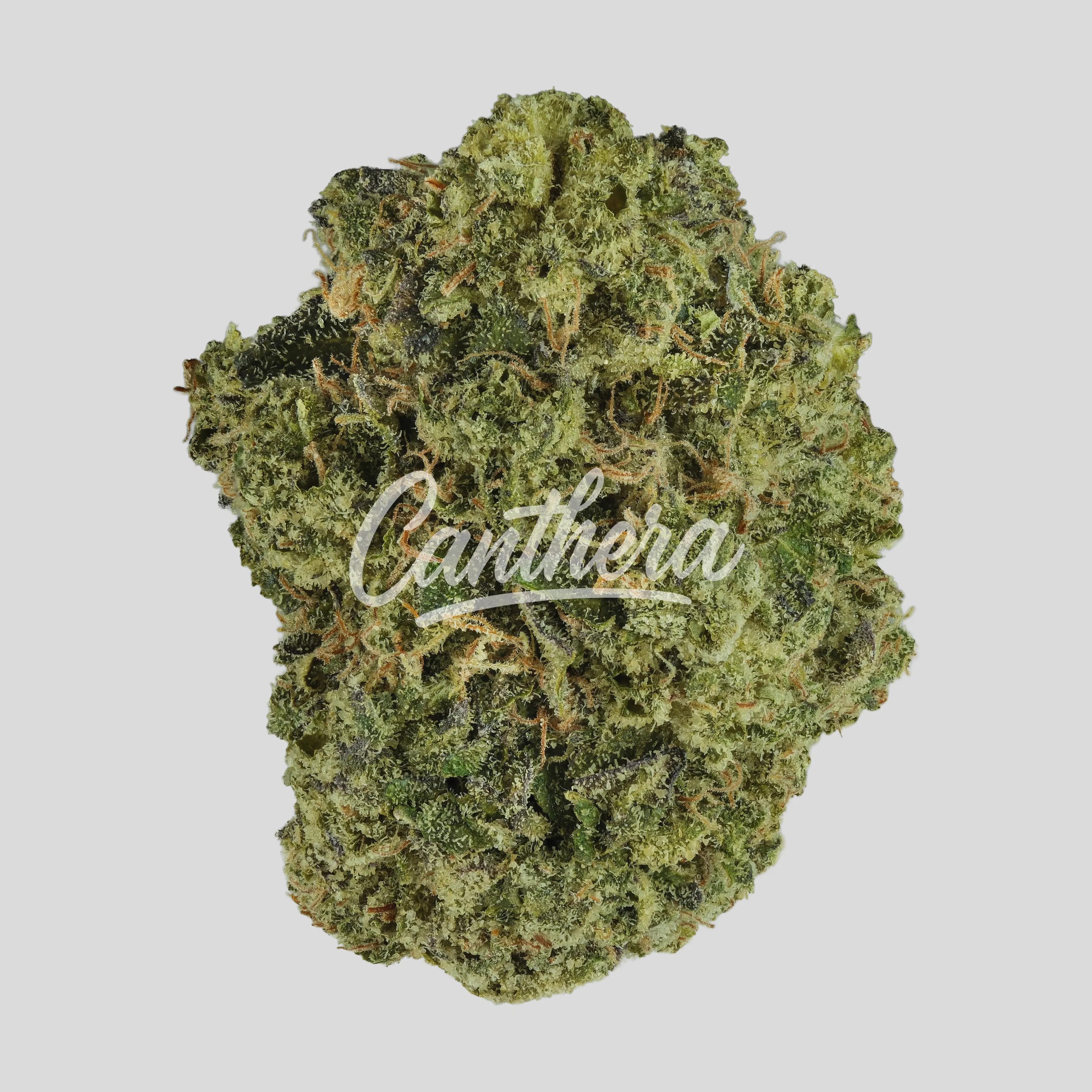 420 Compound 30/1 CA PPE Platinum Pavé - Platinum Pave 420 Compound 30/1 CA PPE Platinum Pavé - Platinum Pave