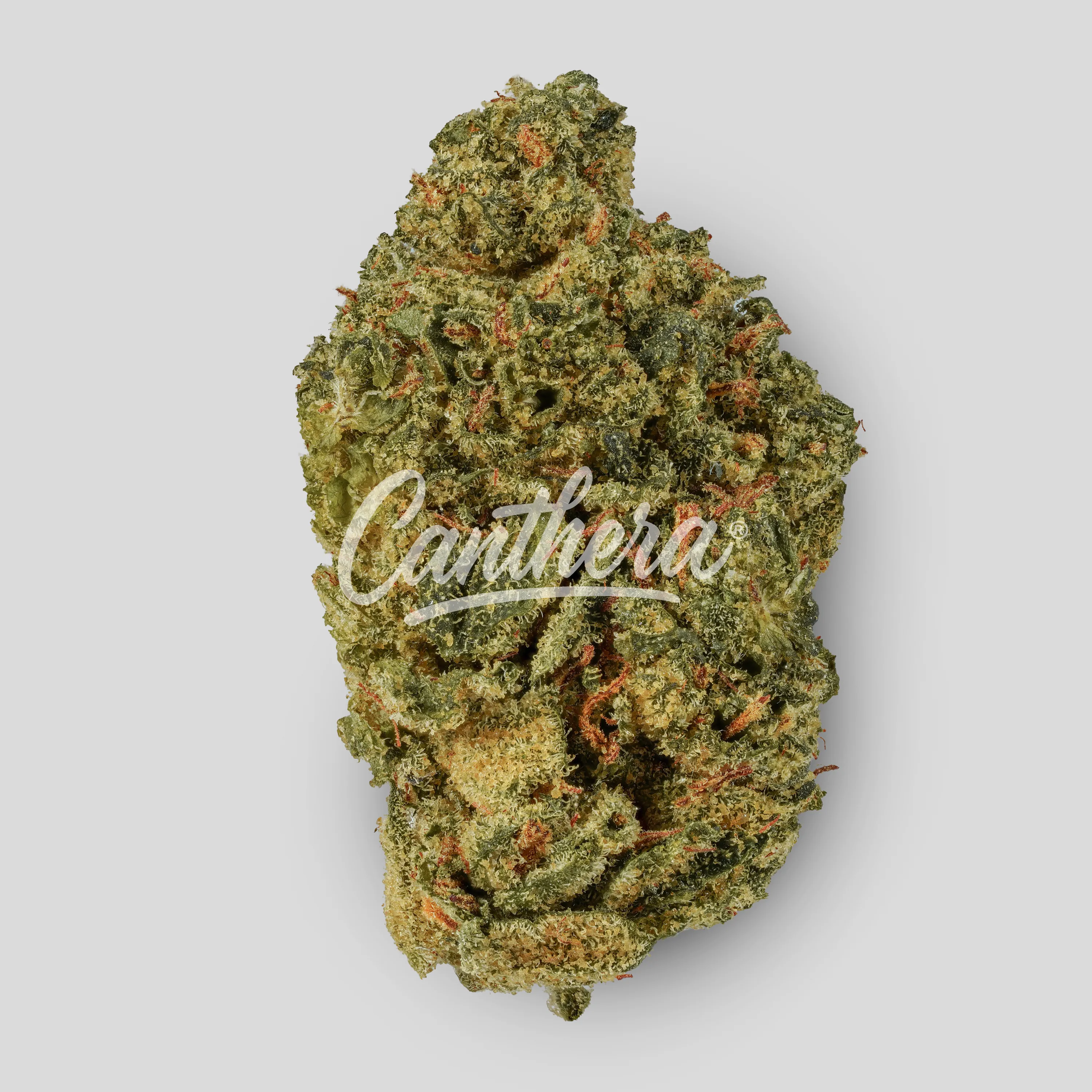 Huala 33/1 CA JFL - Jack Flash