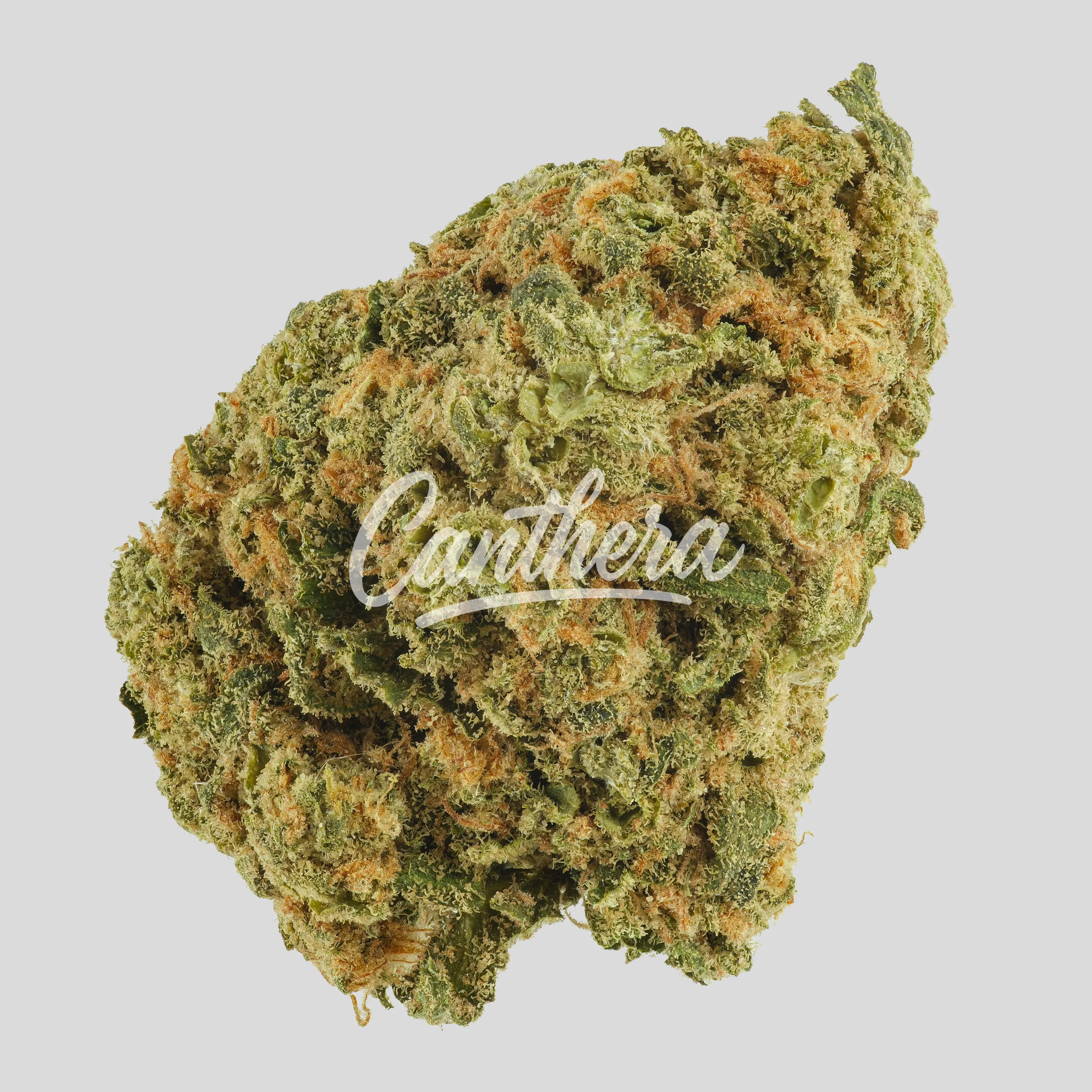 mediproCan LUNARIS 25/1 - Capri Haze