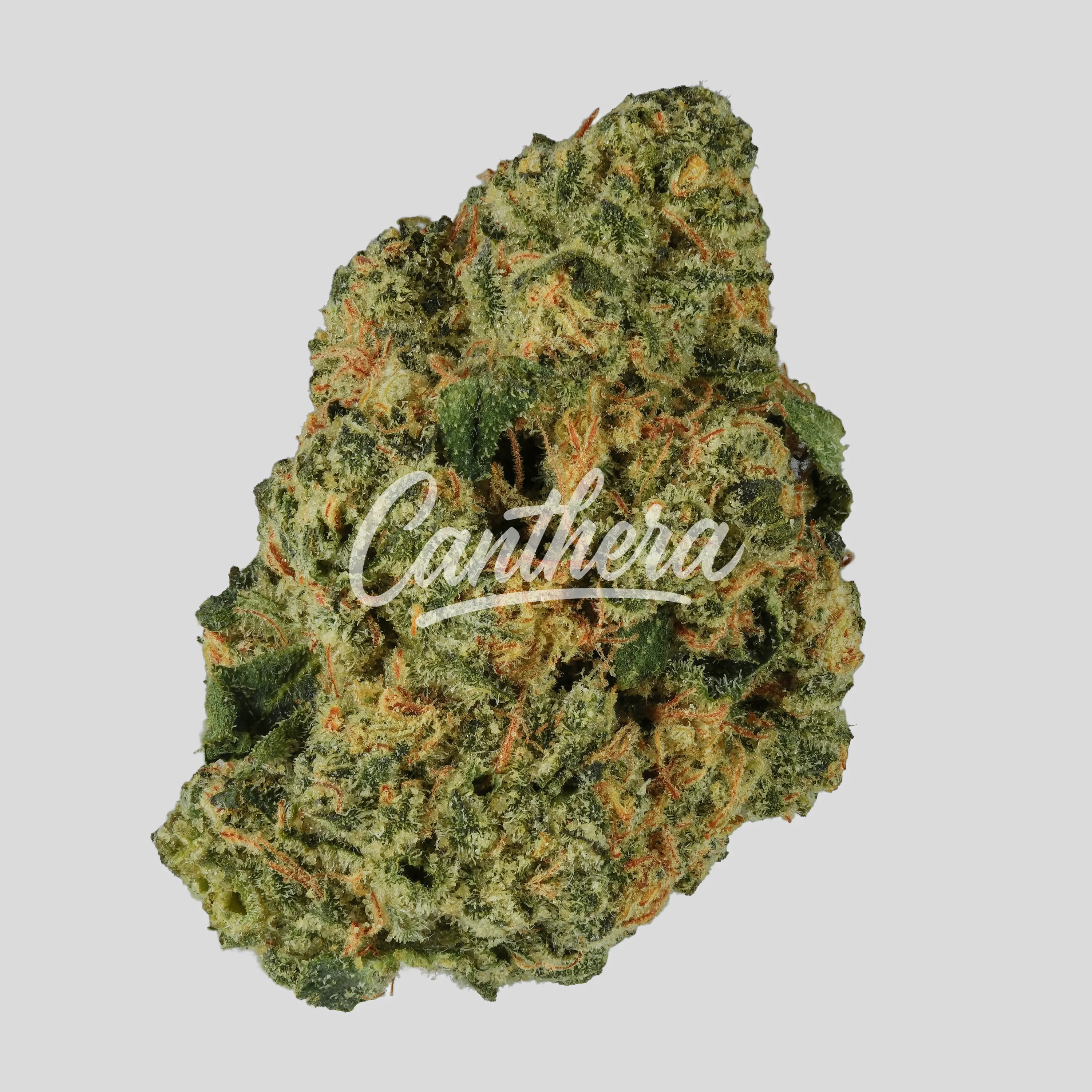 NICE 27/1 KM - Kush Mints