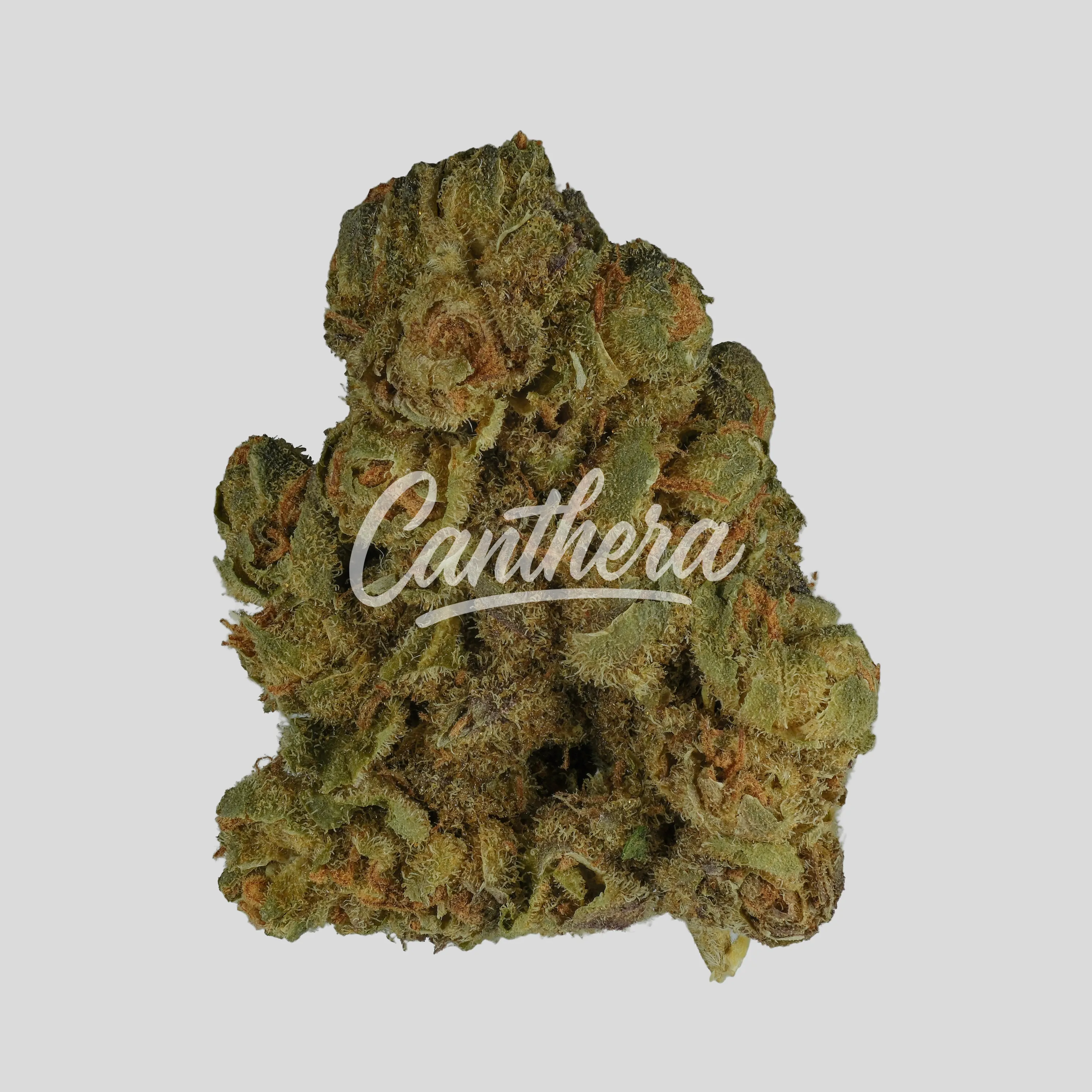 TRUU LX 24:01 - GMO Cookies x Kush Mintz