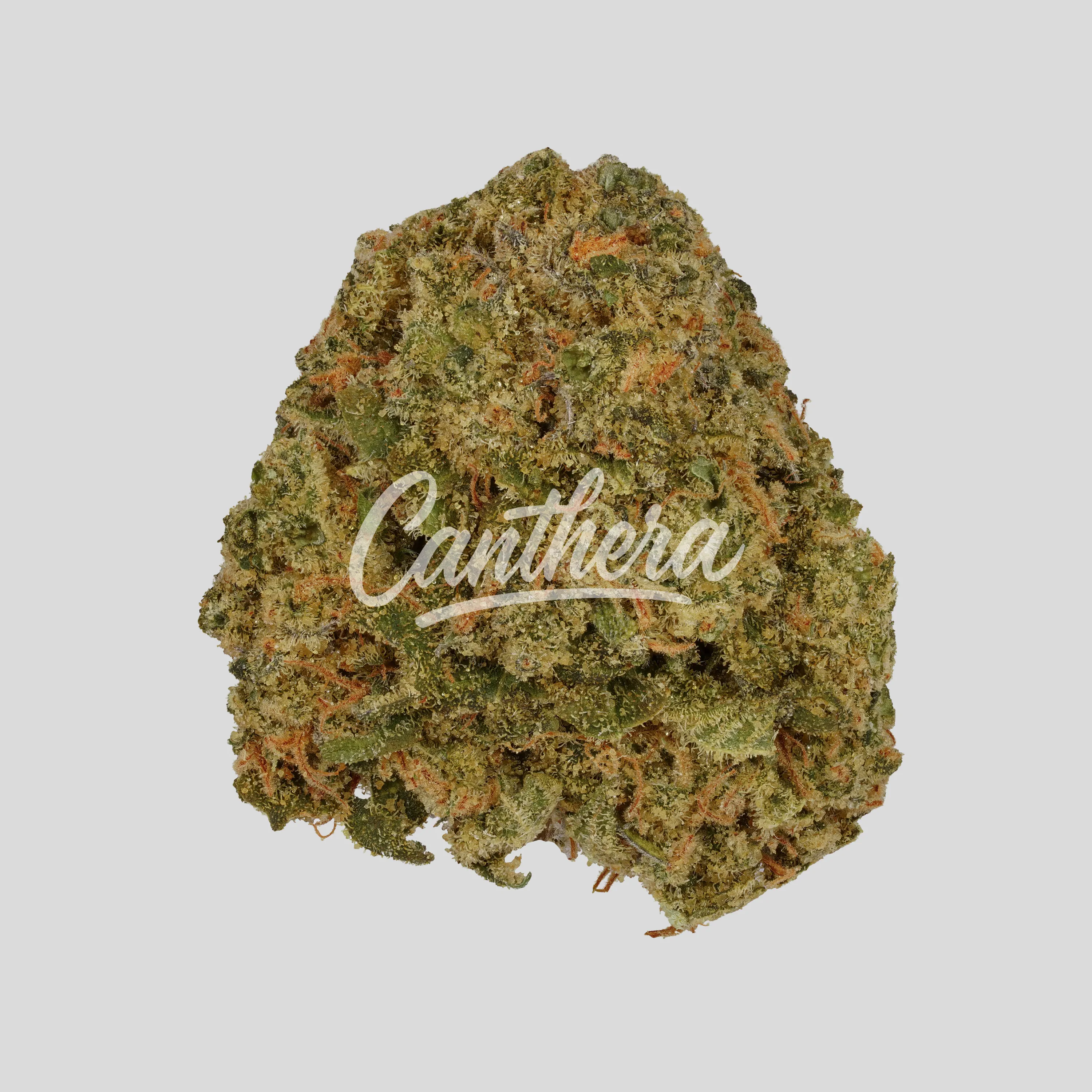 Rua Hihiko 27/1 - Grape Ape x Nevill Haze