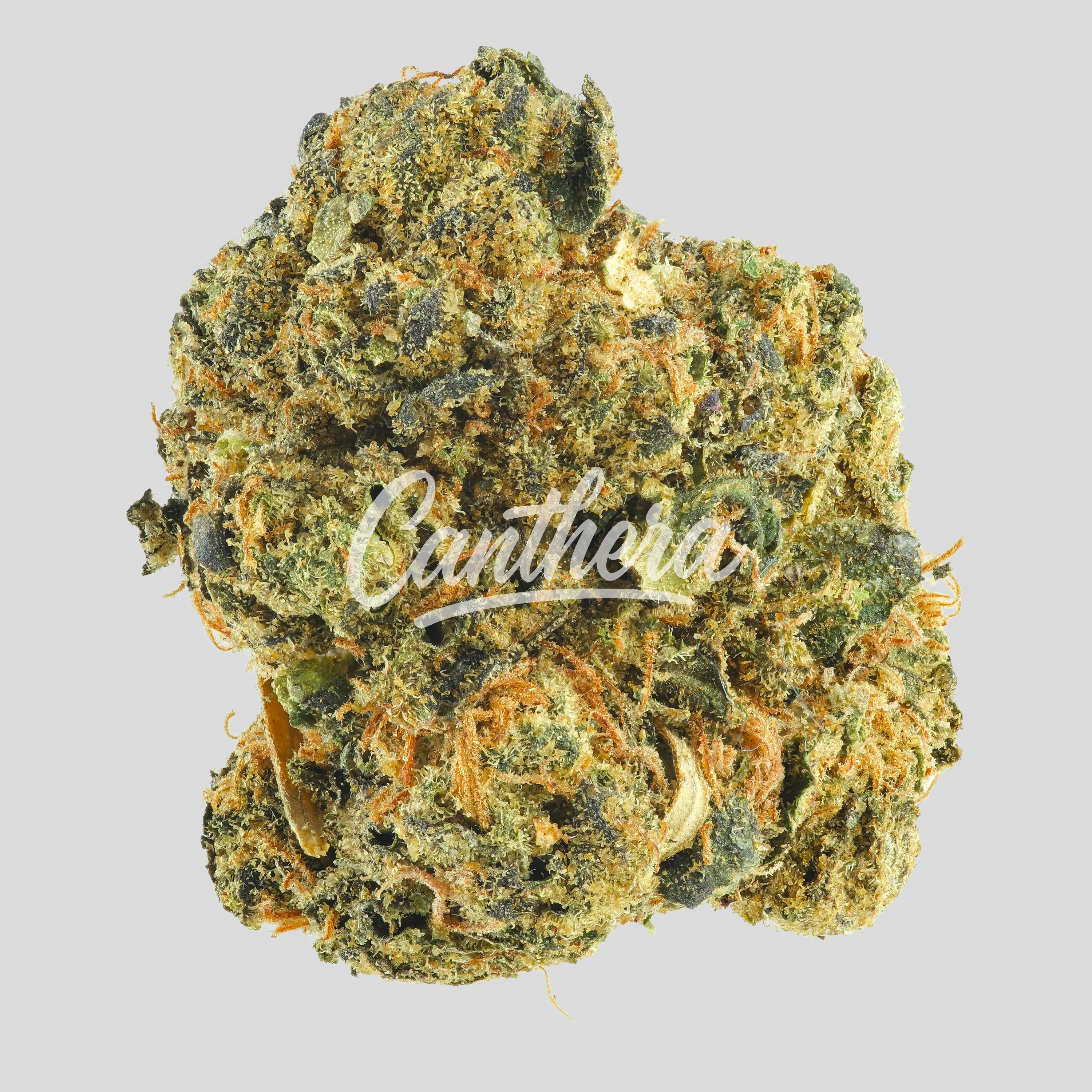 Demecan BCP Lean Drop 22:01 - Lemon Cherry Gelato