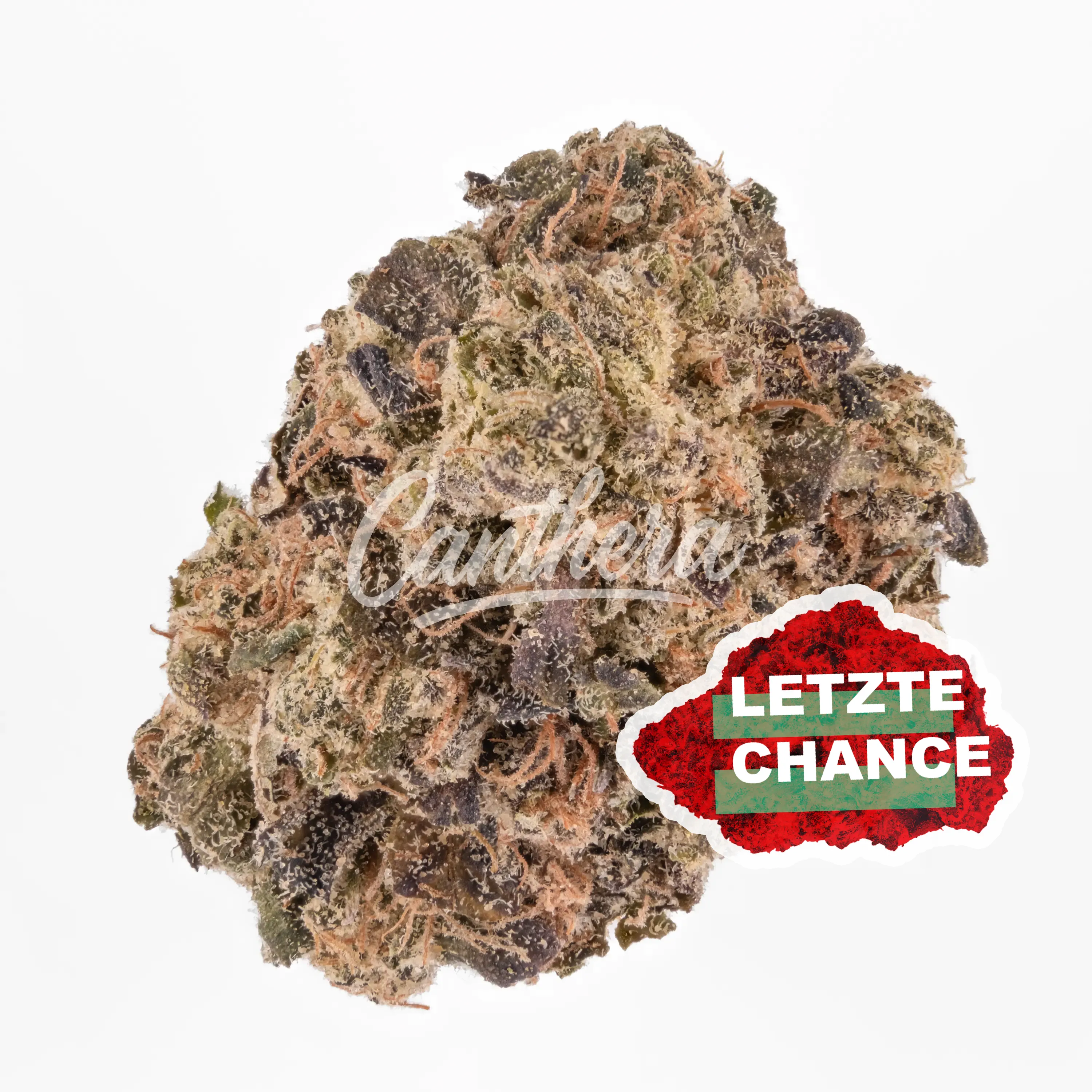 J.R. Strain 27/1 Sudz